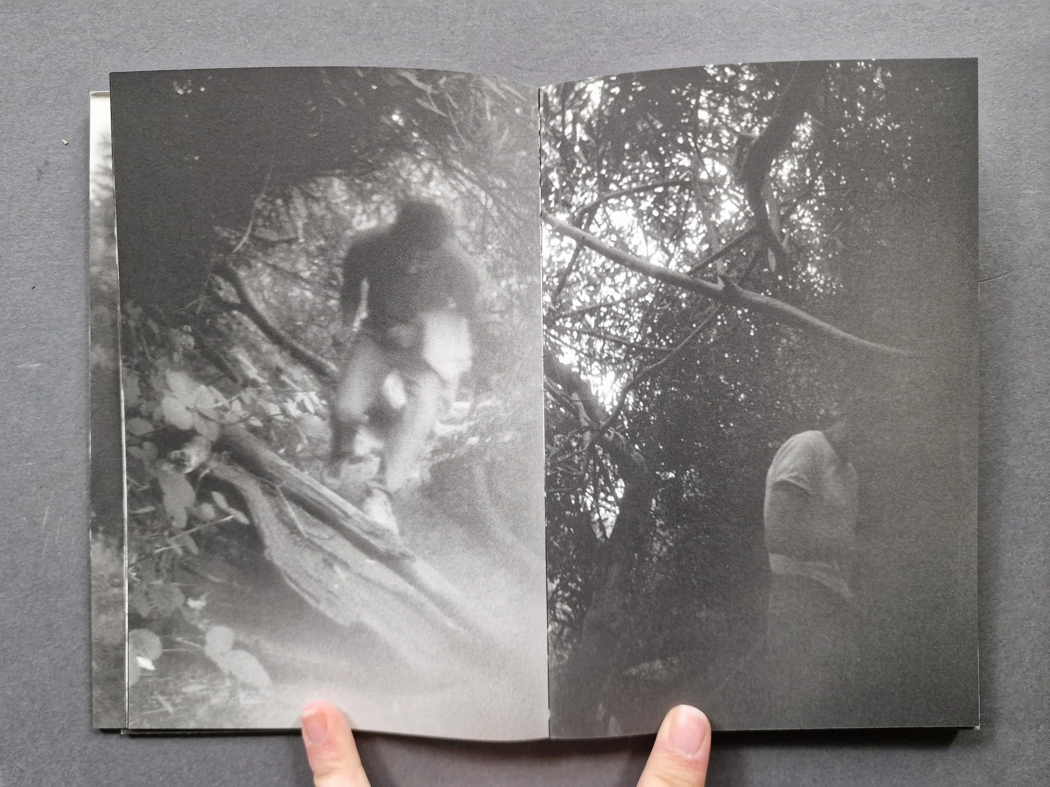 Landscape - Image 4