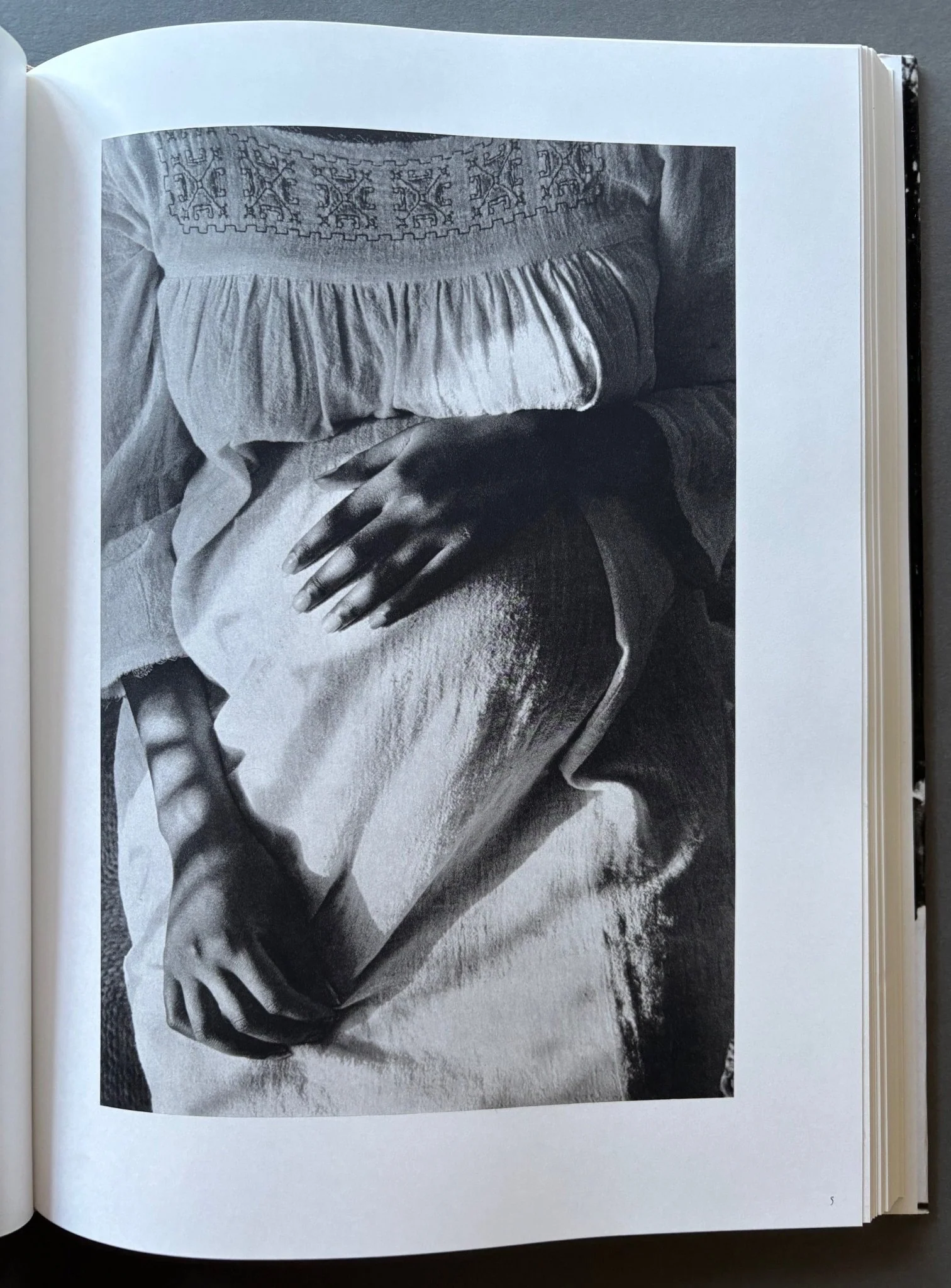Le Survivance - Image 7
