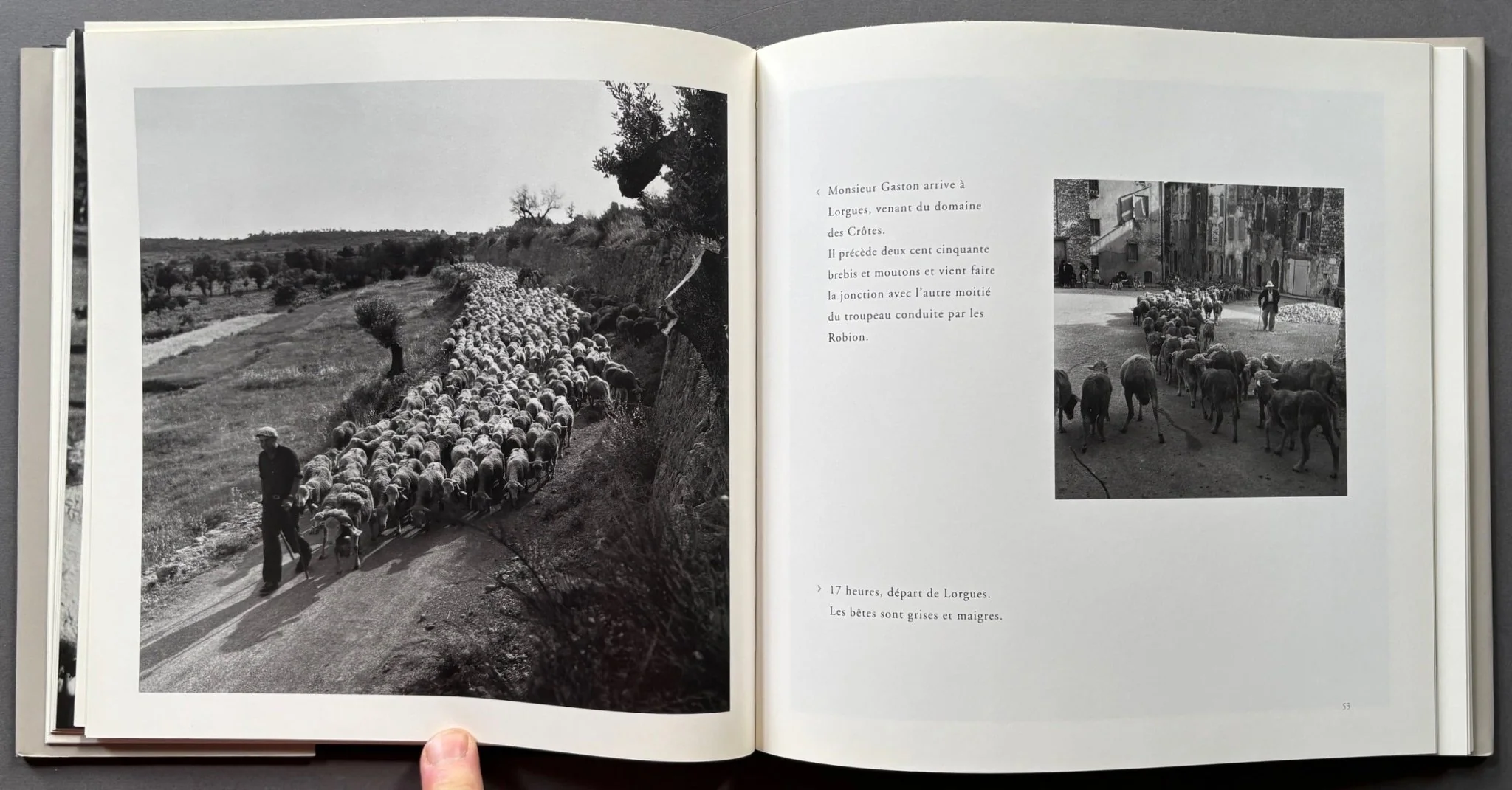 Le Transhumance De Robert Doisneau - Image 4