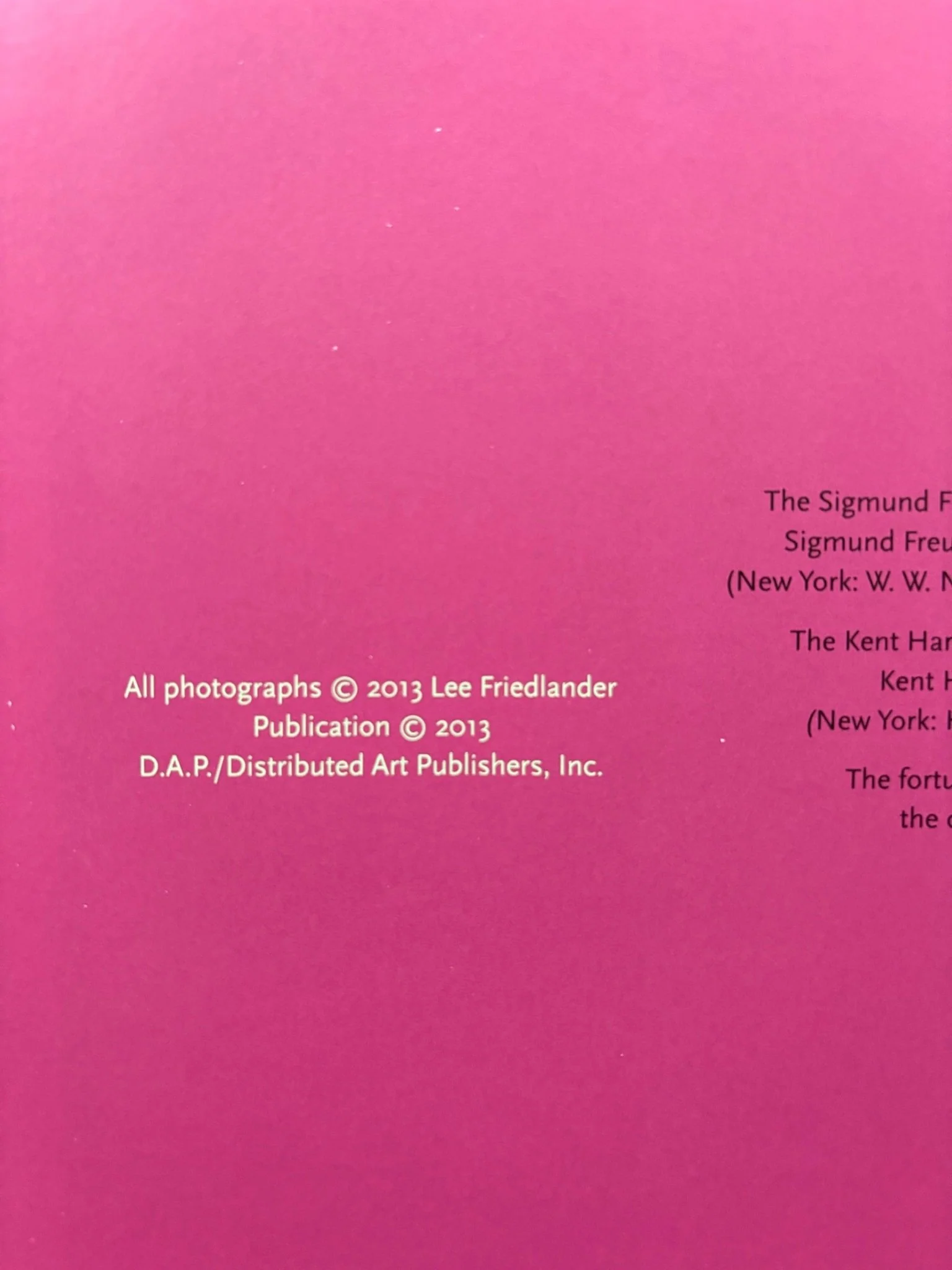 Lee Friedlander: A Second Look: The Nudes - Image 5