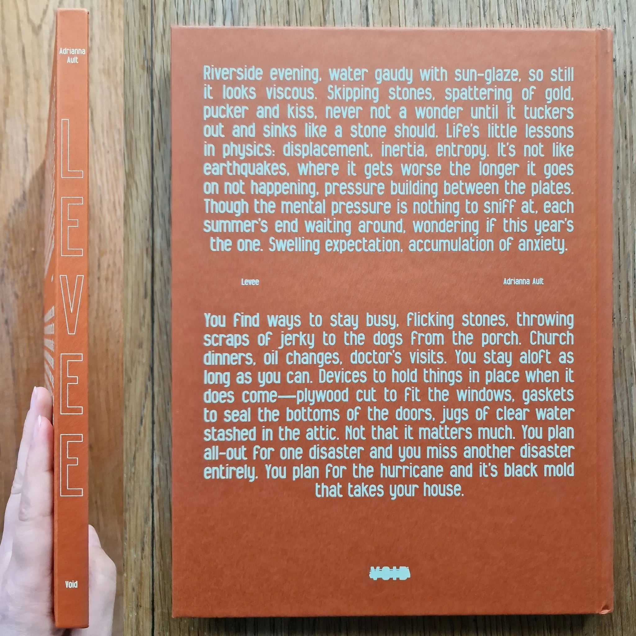 Levee - Image 8