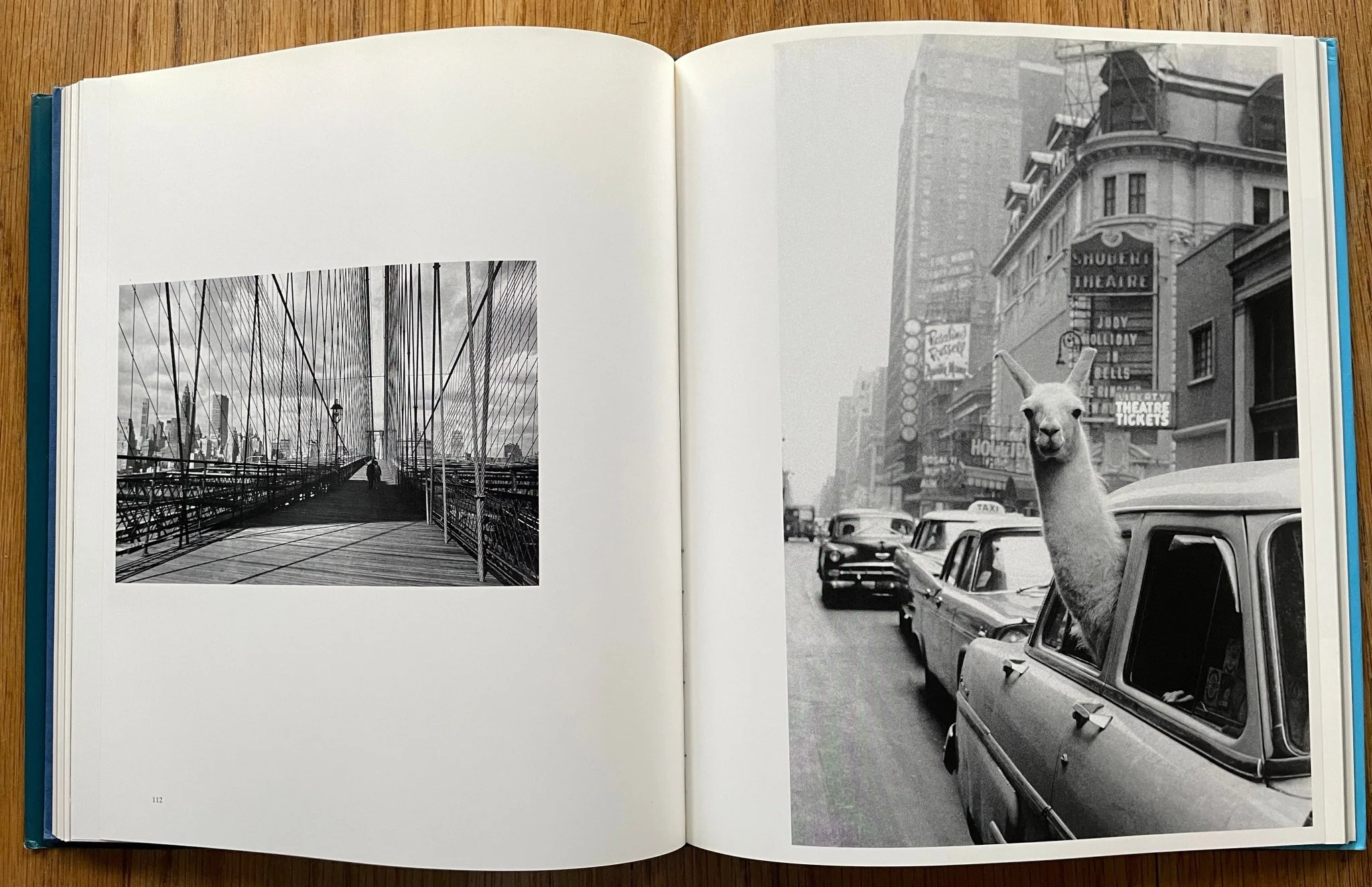 Life as a Photographer - Image 3