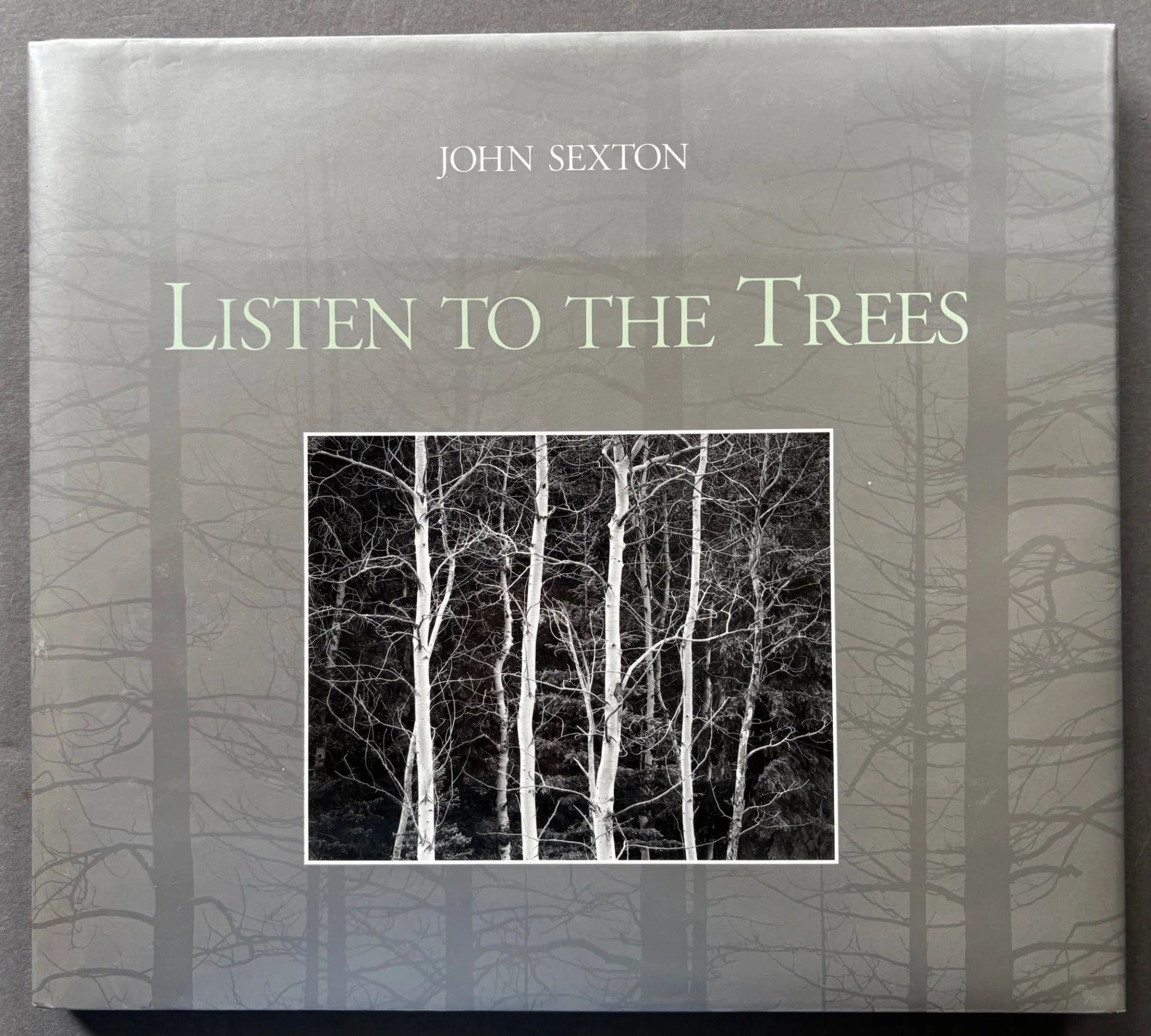 Listen To The Trees