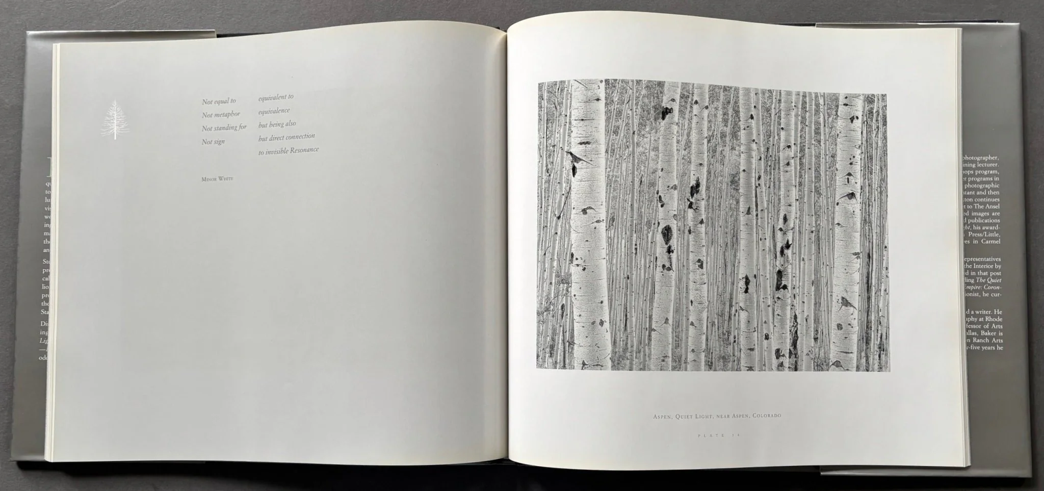 Listen To The Trees - Image 4