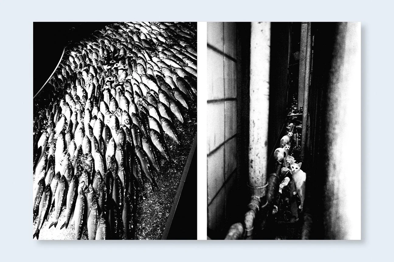 Los Angeles x Shinjuku - Image 10