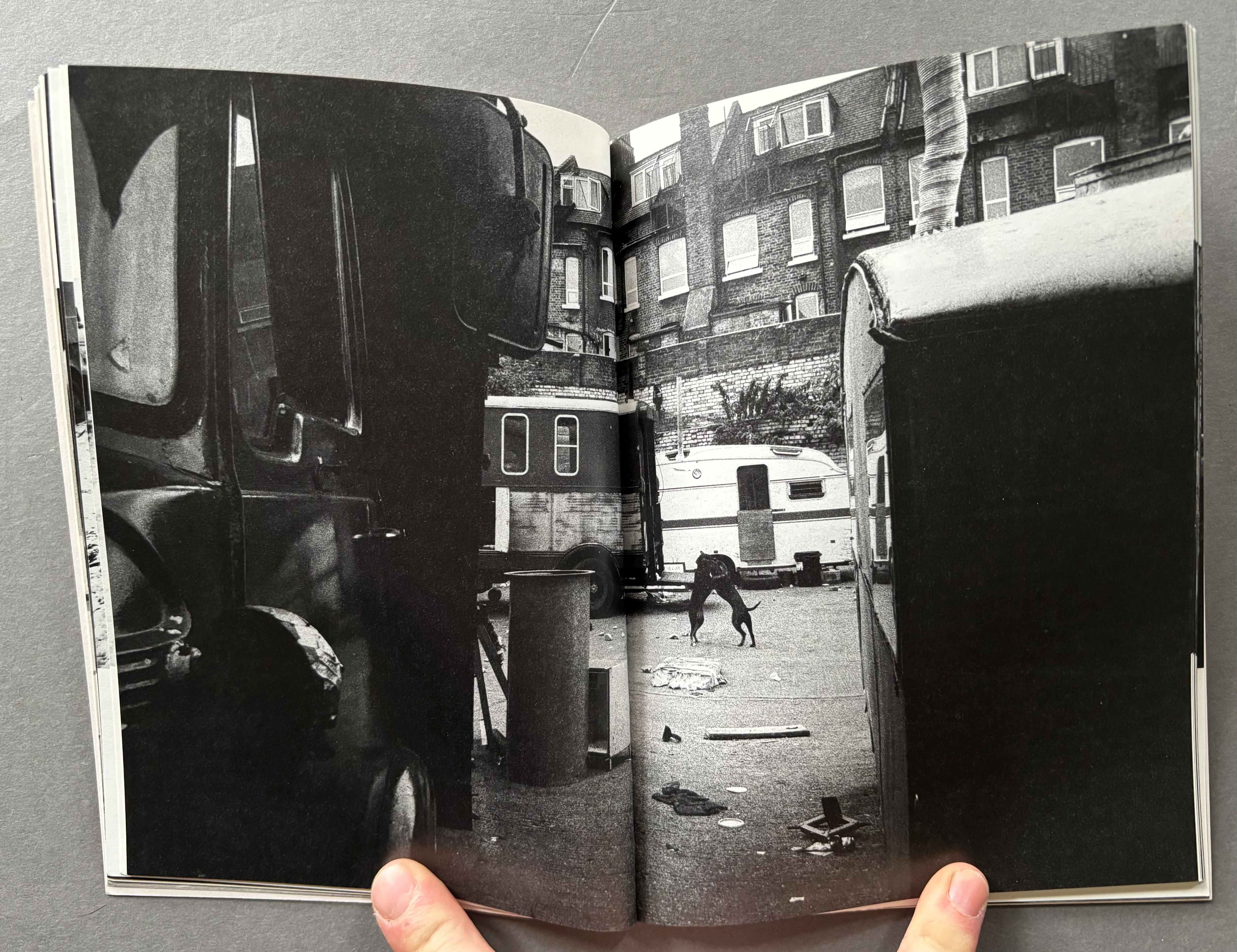 Losing Ground - Image 6