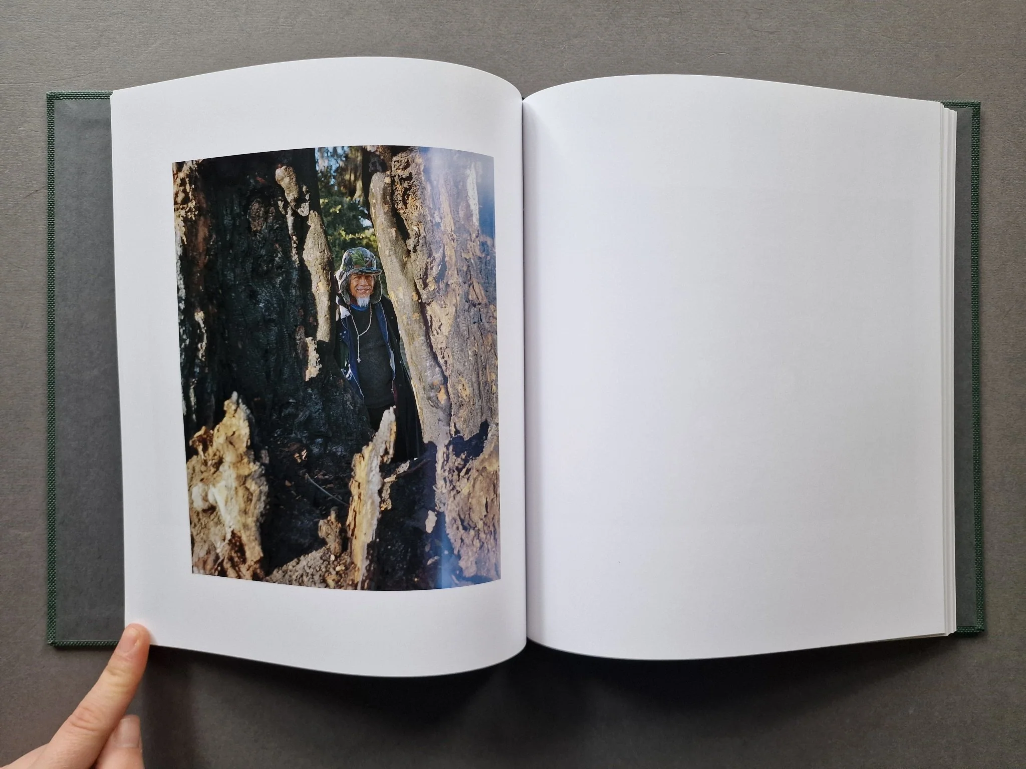 LOST COAST (Second Edition) - Image 4