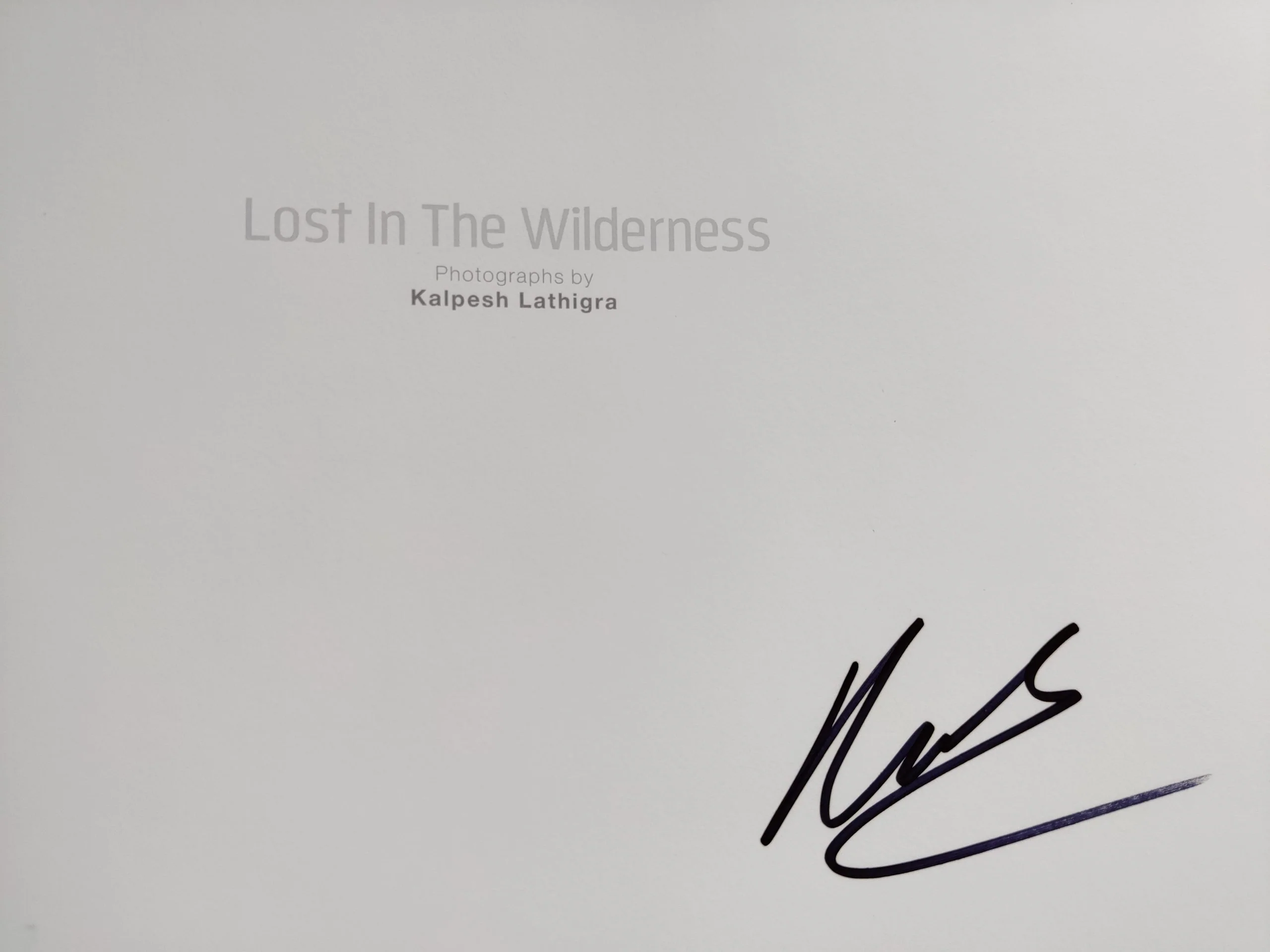 Lost in the Wilderness - Image 2
