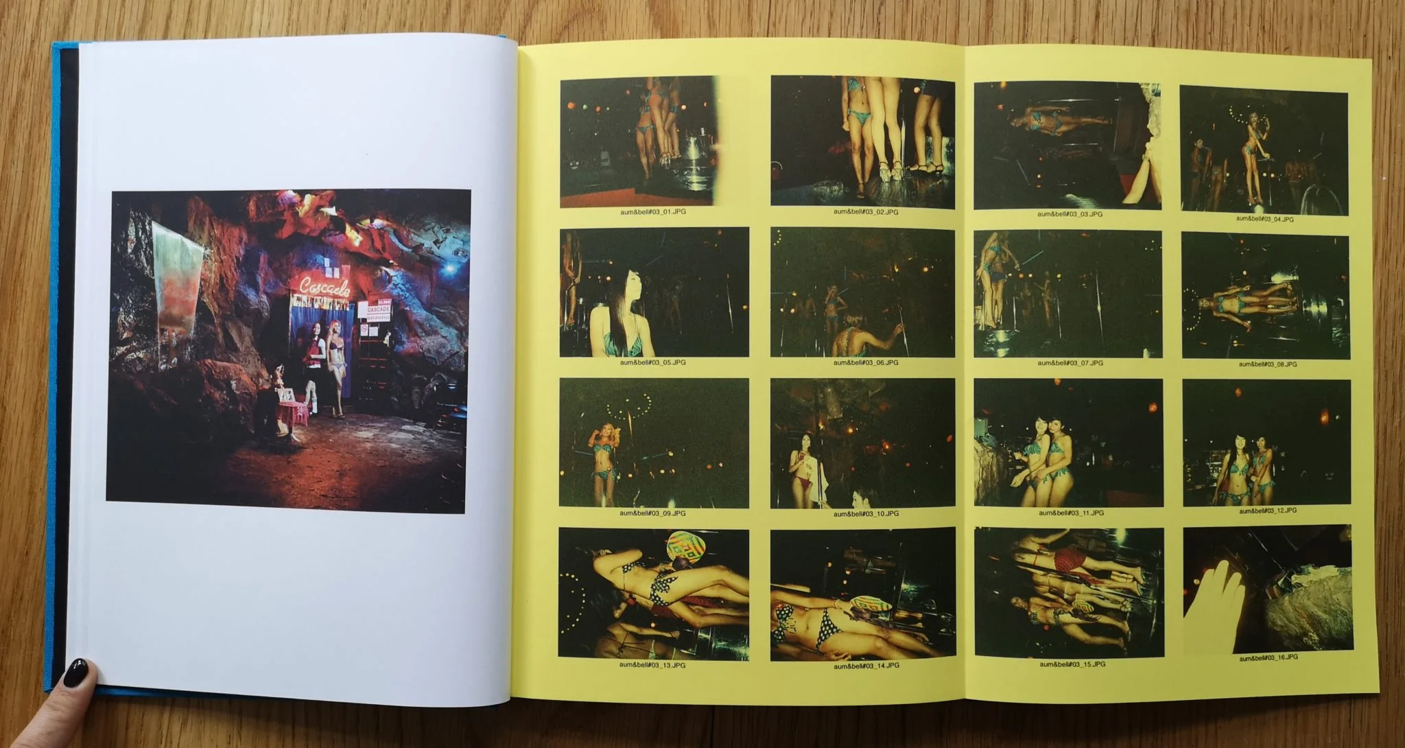 Lotus - Image 6