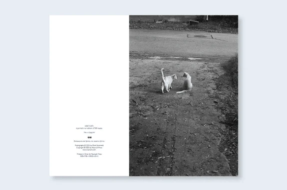 Low-fi-Cats - Image 6