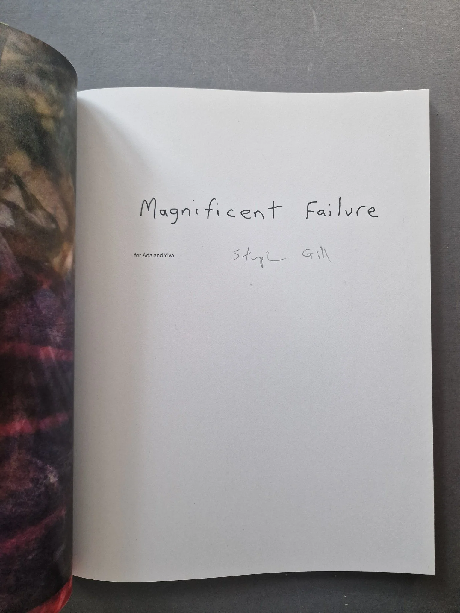 Magnificent Failure - Image 2