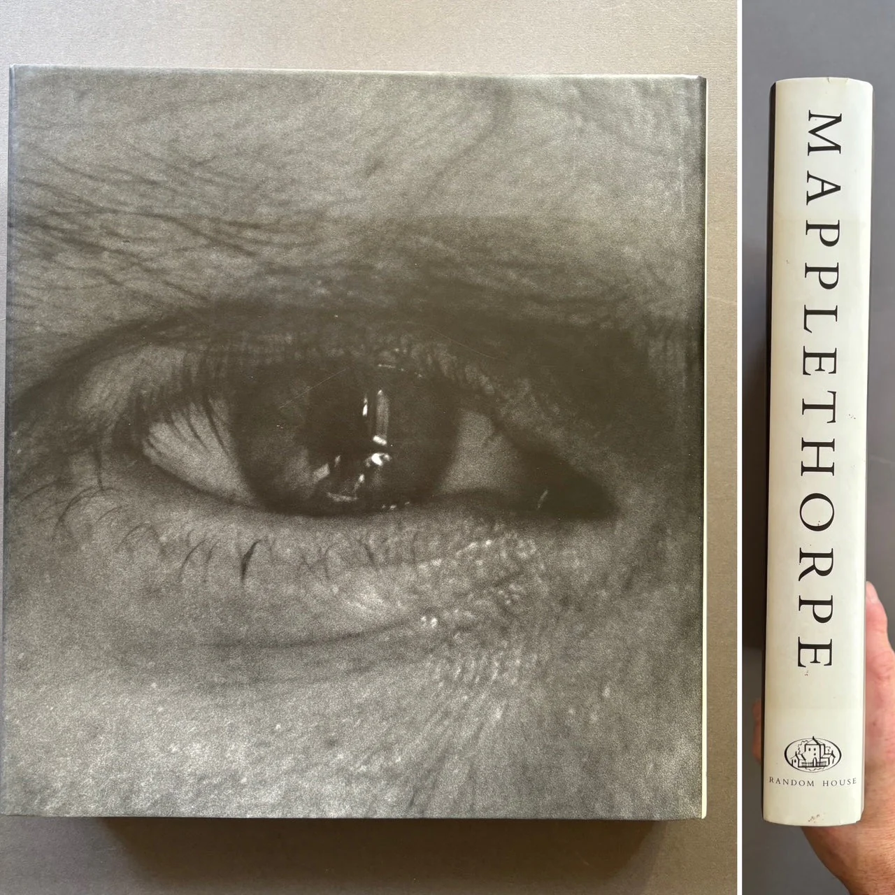 Mapplethorpe - Image 7