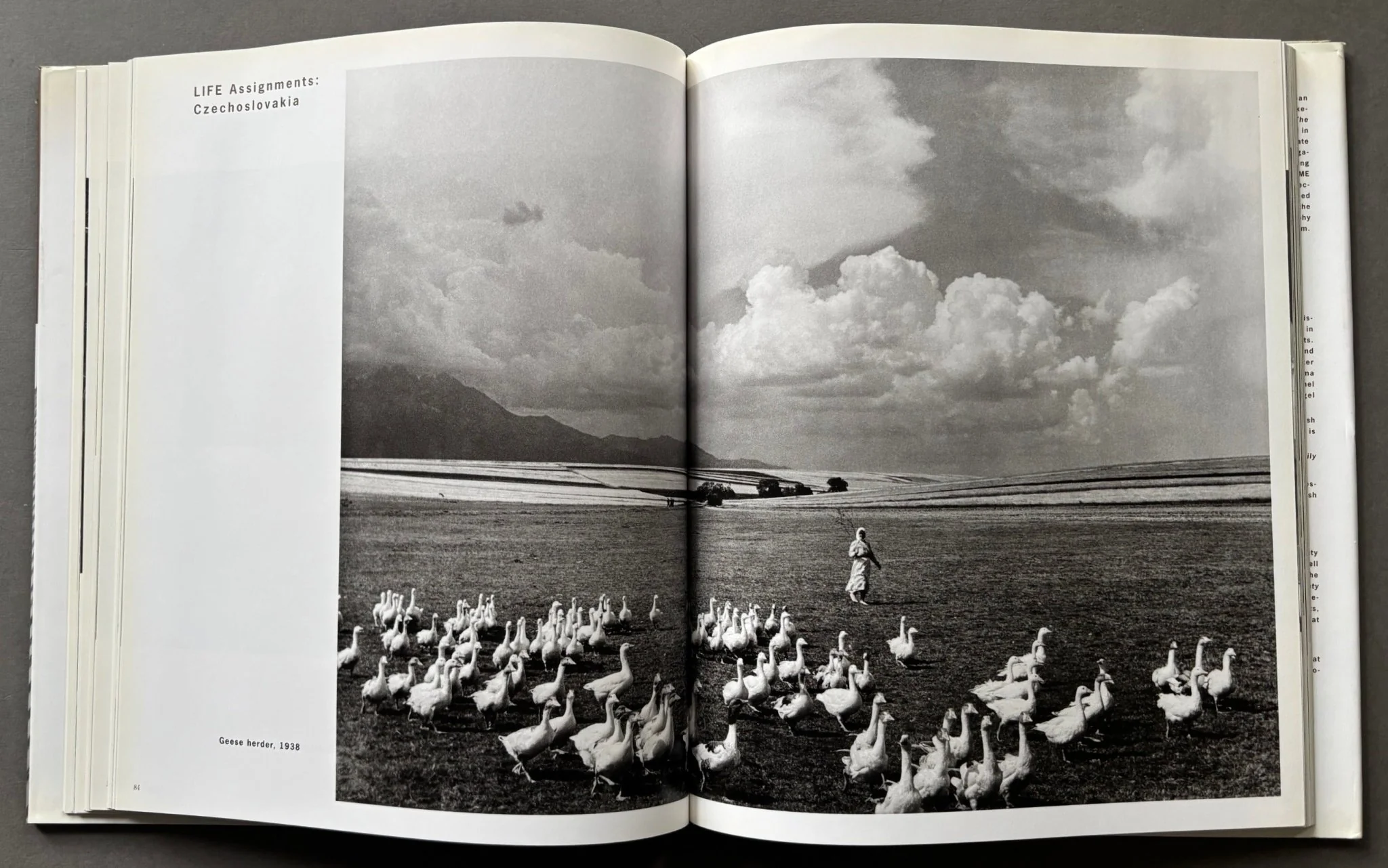 Margaret Bourke-White: Photographer - Image 4