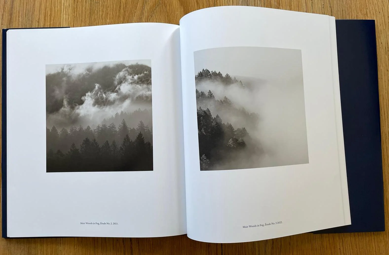 Marine Layer - Image 5