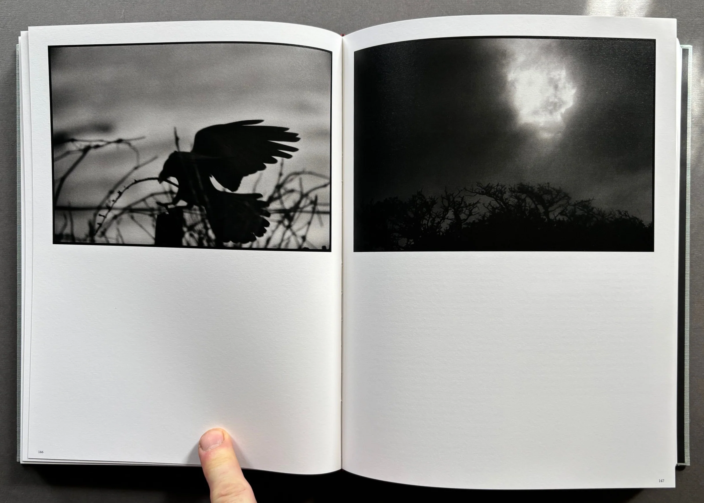 Masahisa Fukase - Image 5