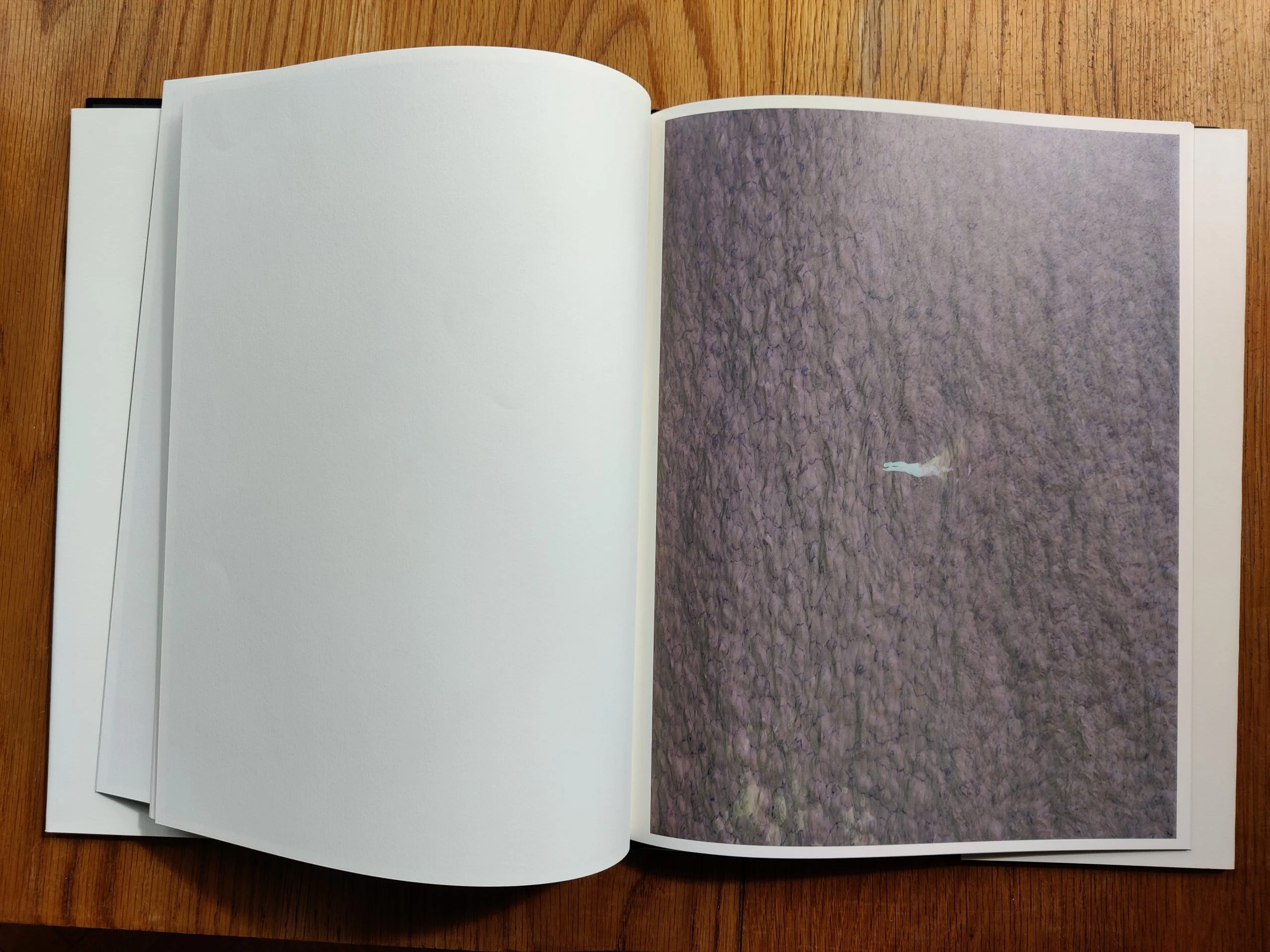Misrach - Image 7