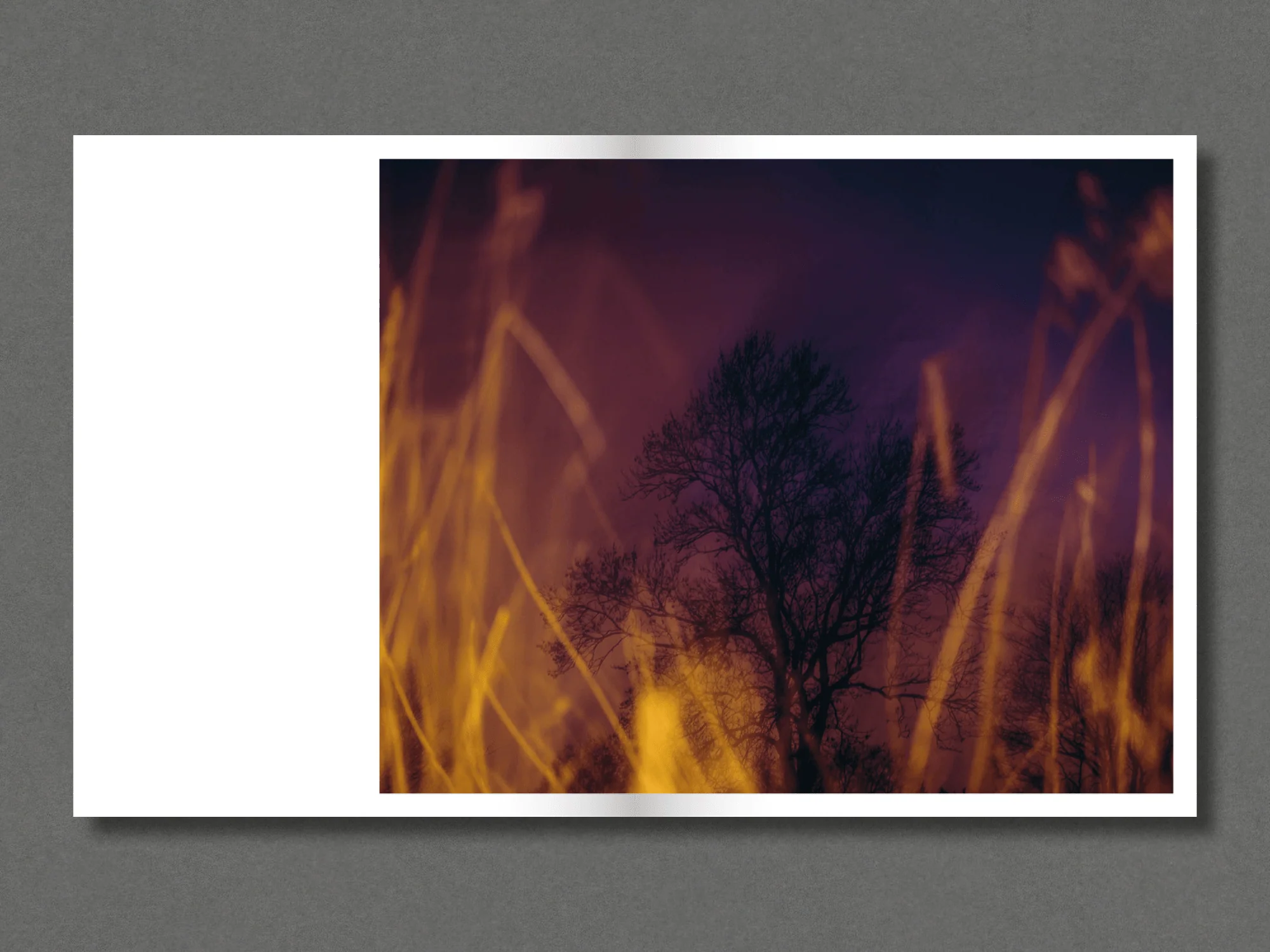 Modern Paradox - Image 3
