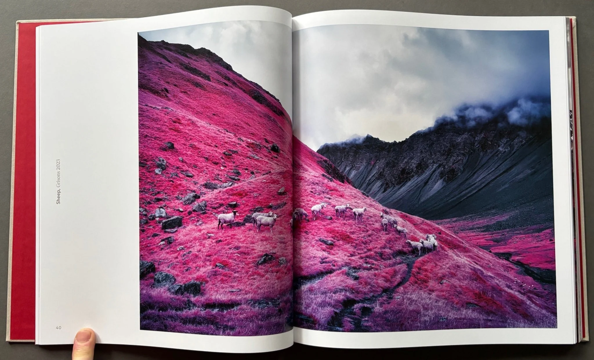 Modernising Nature - Image 3