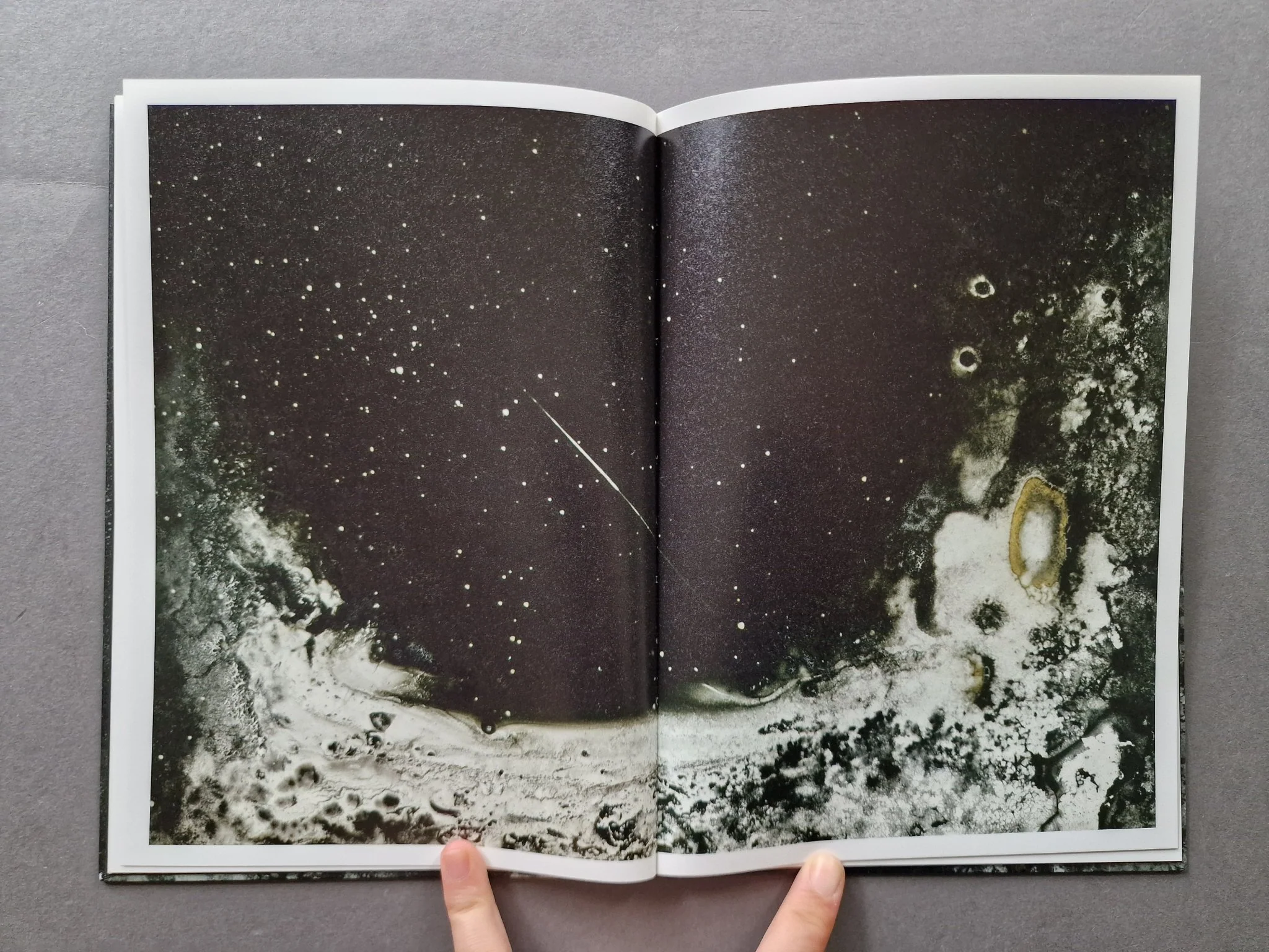 Mold is Beautiful - Image 4