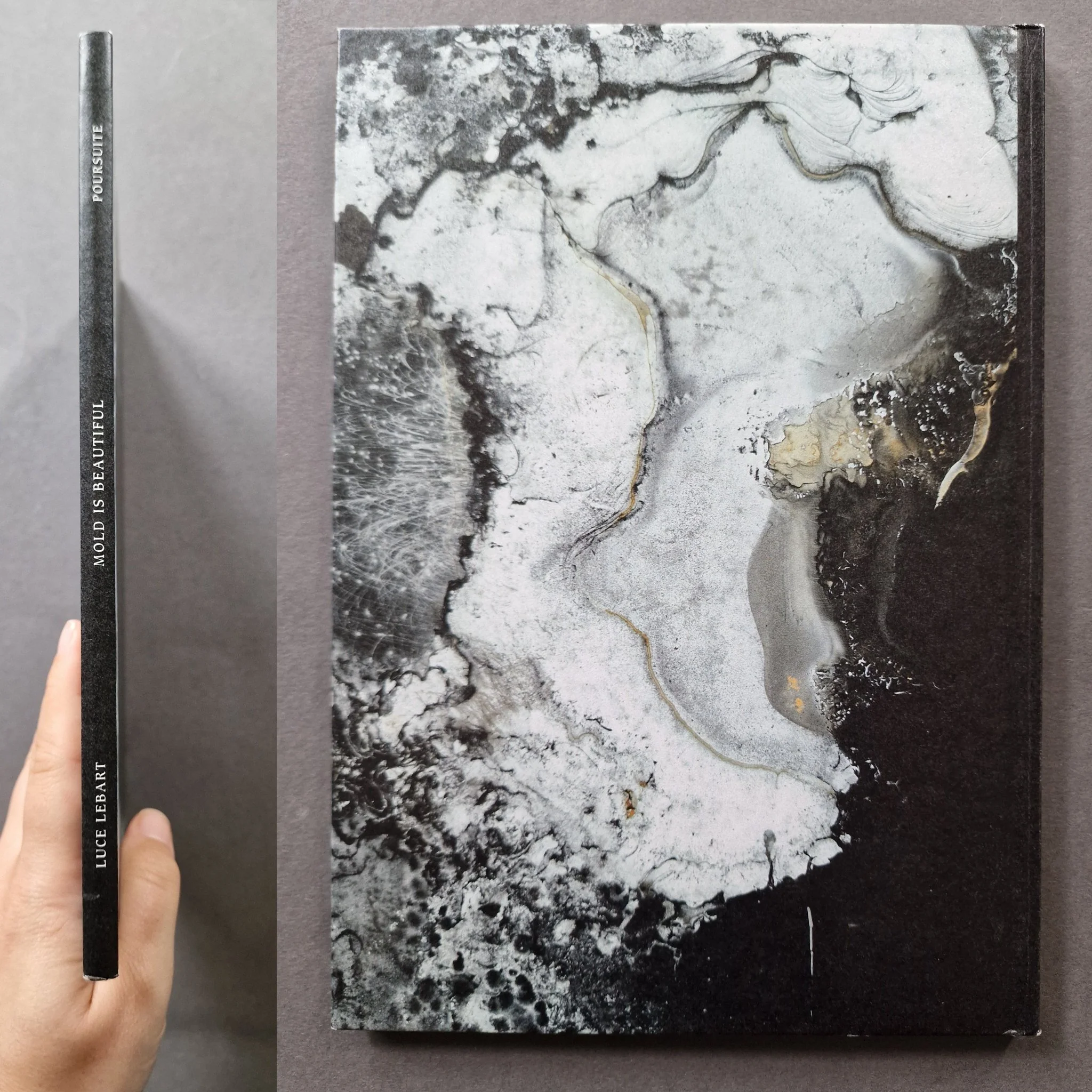 Mold is Beautiful - Image 7