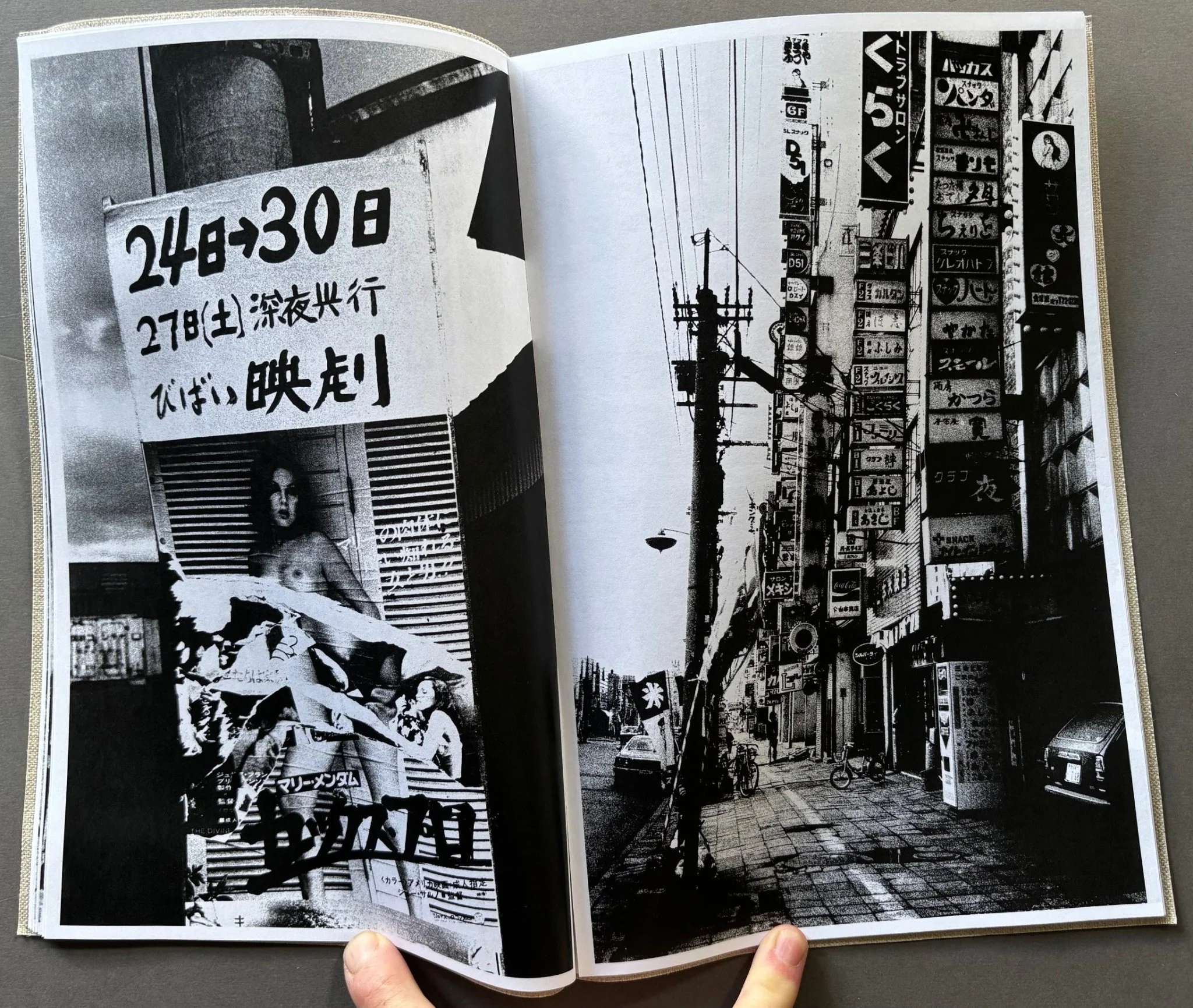 Momoe - Image 3