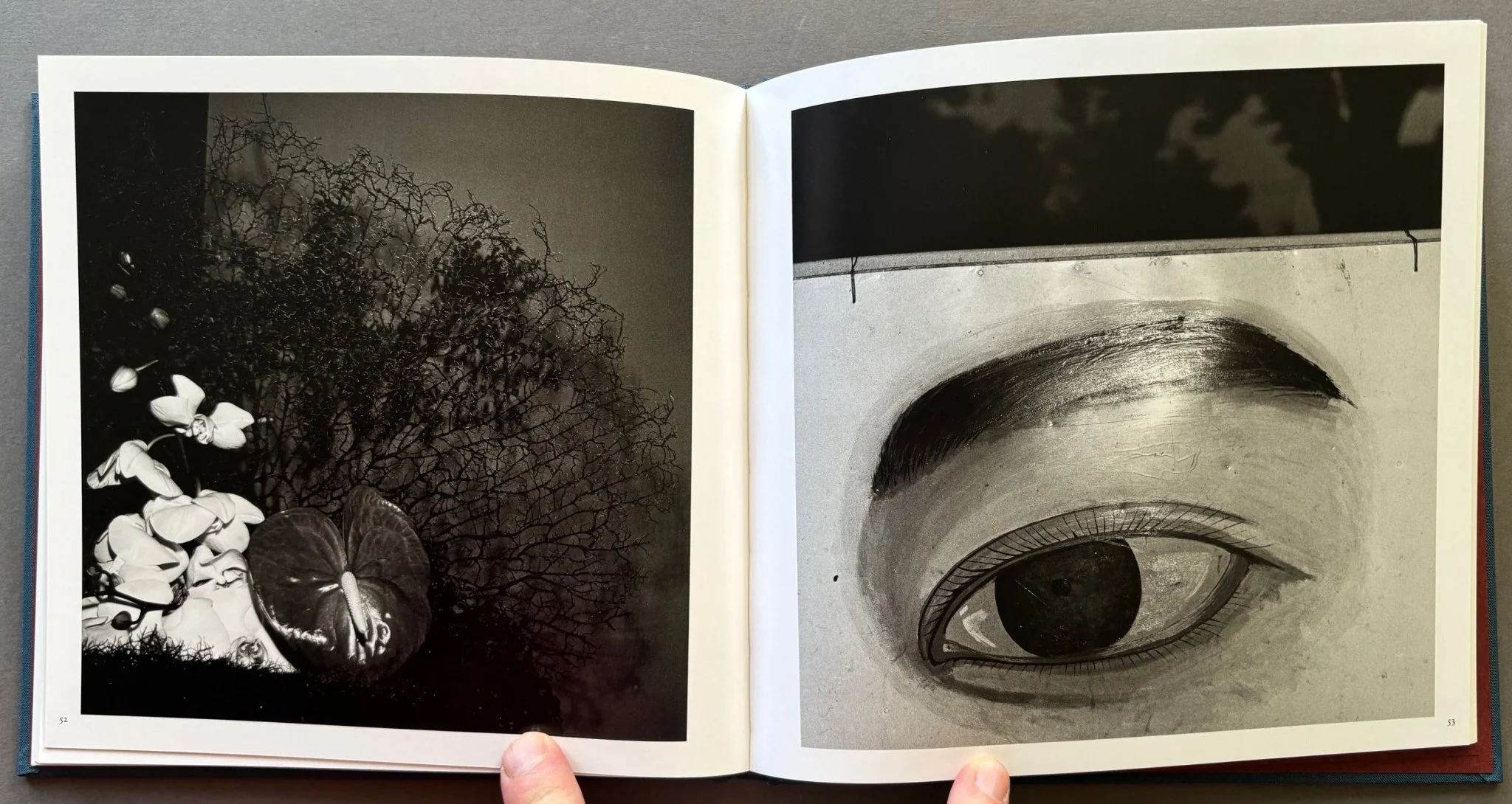 Monogusa Shui - Image 3