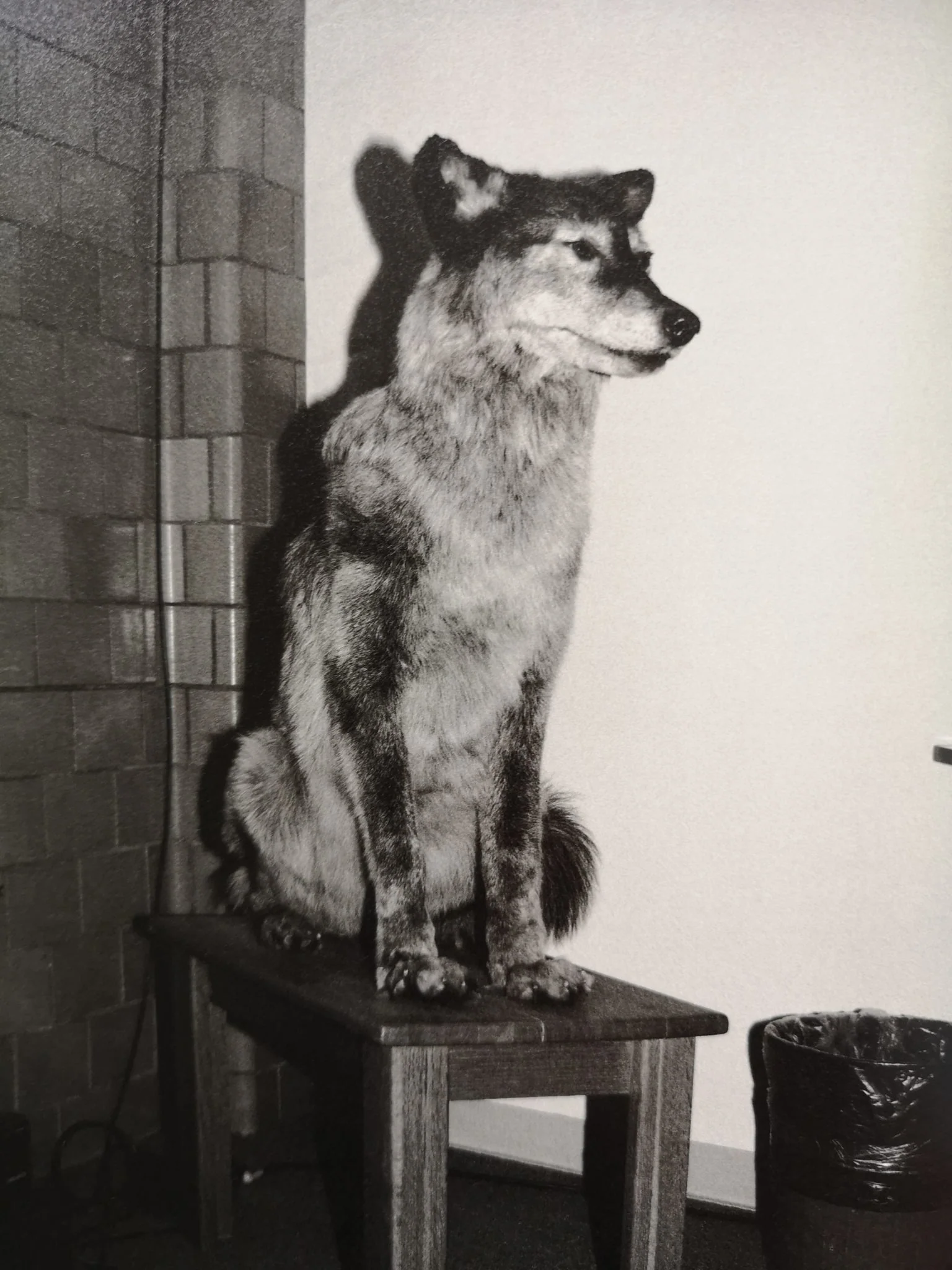Most were silent - Image 5