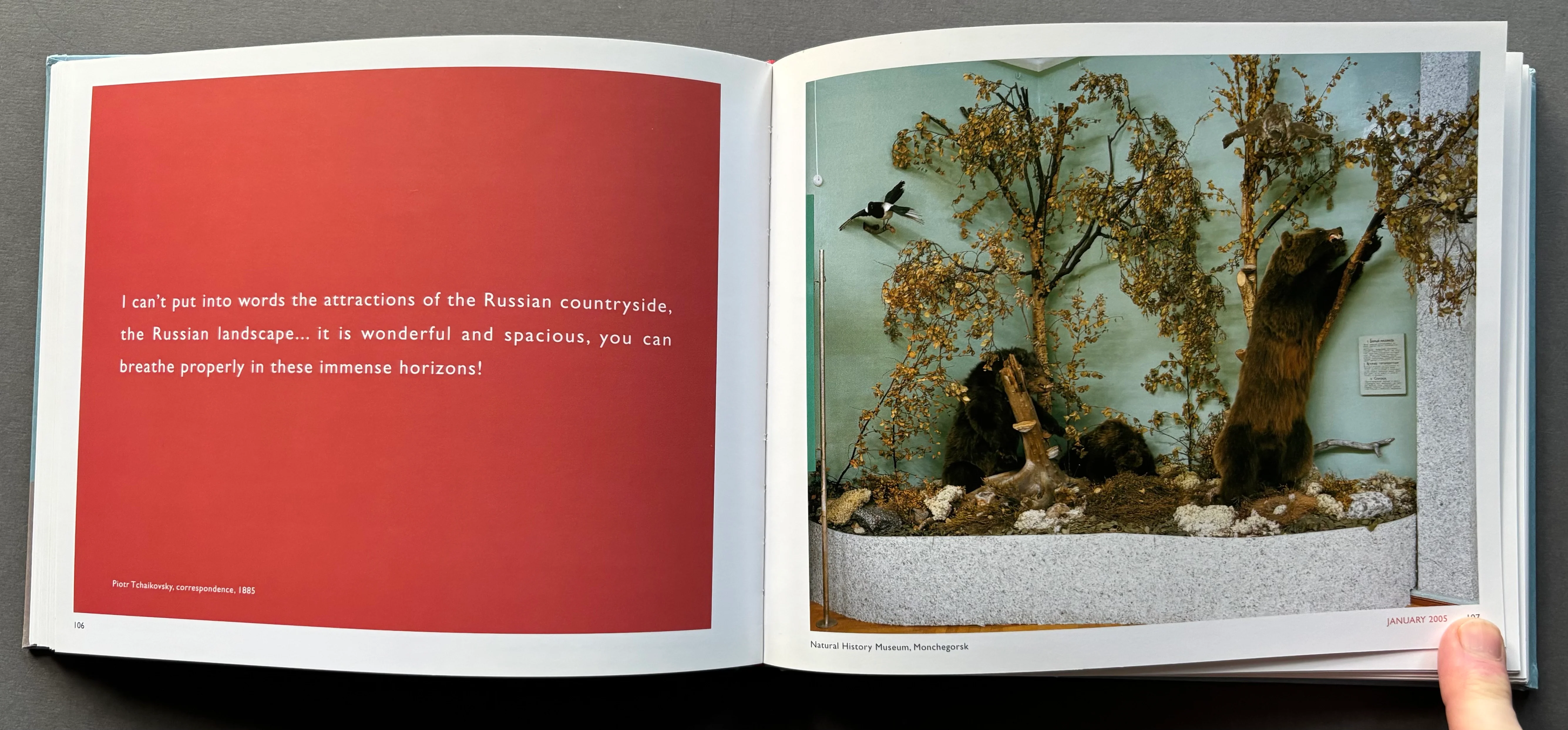 Motherland - Image 3