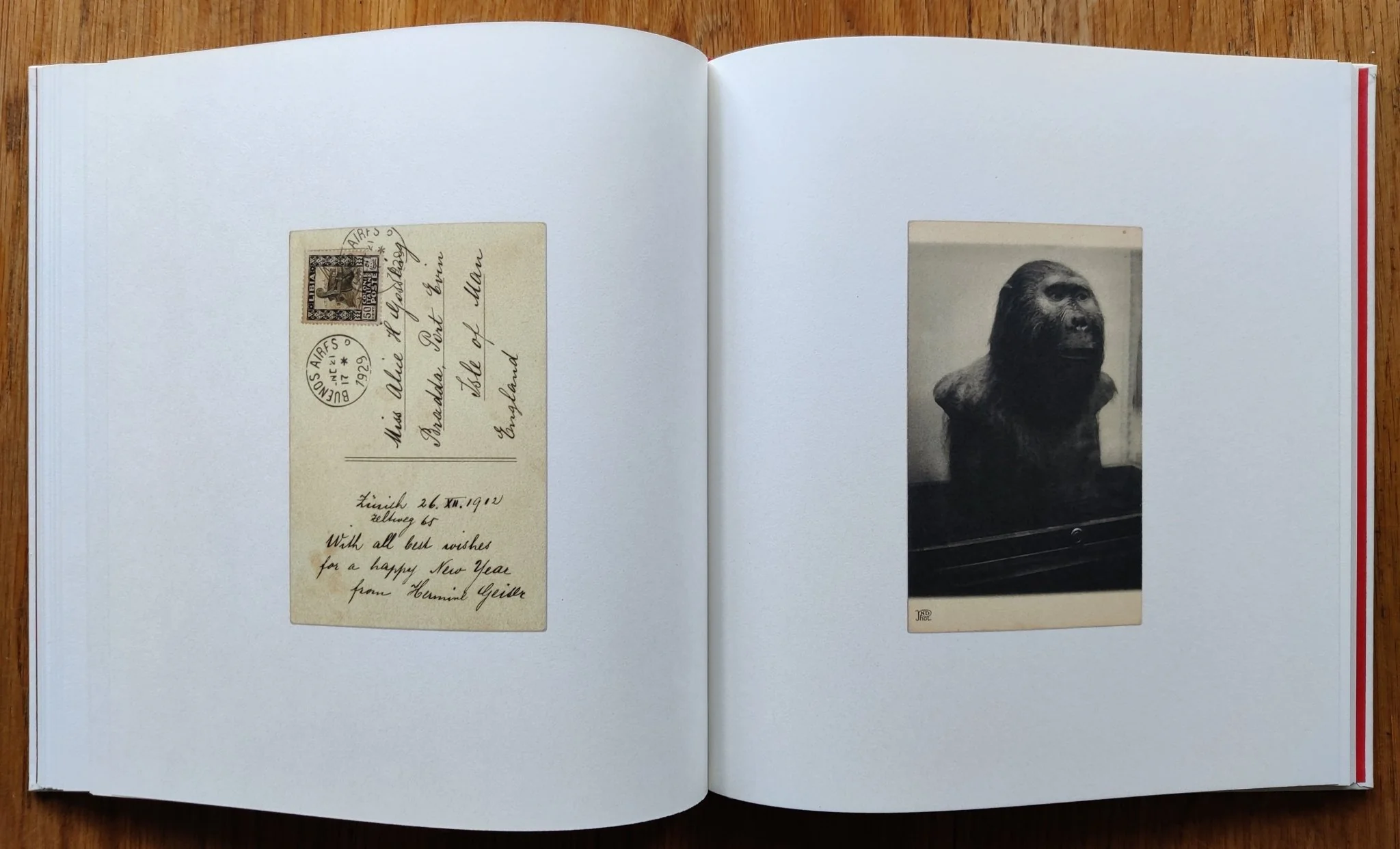 Mrs. Merryman's Collection - Image 8