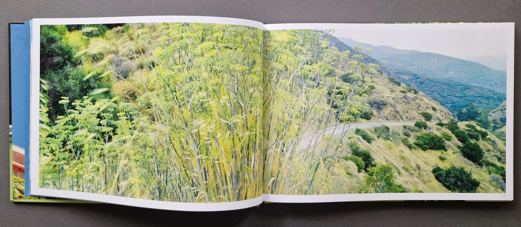 Mulholland - Image 3