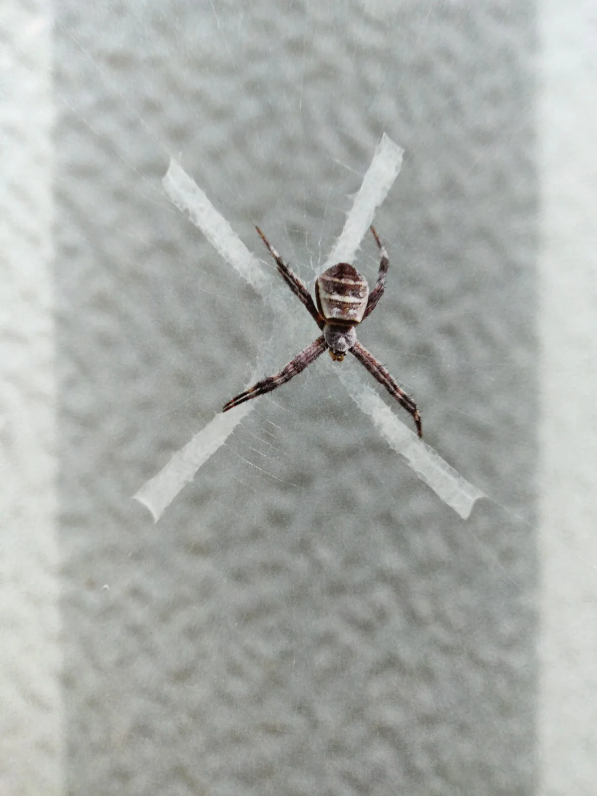 Murder - Image 7