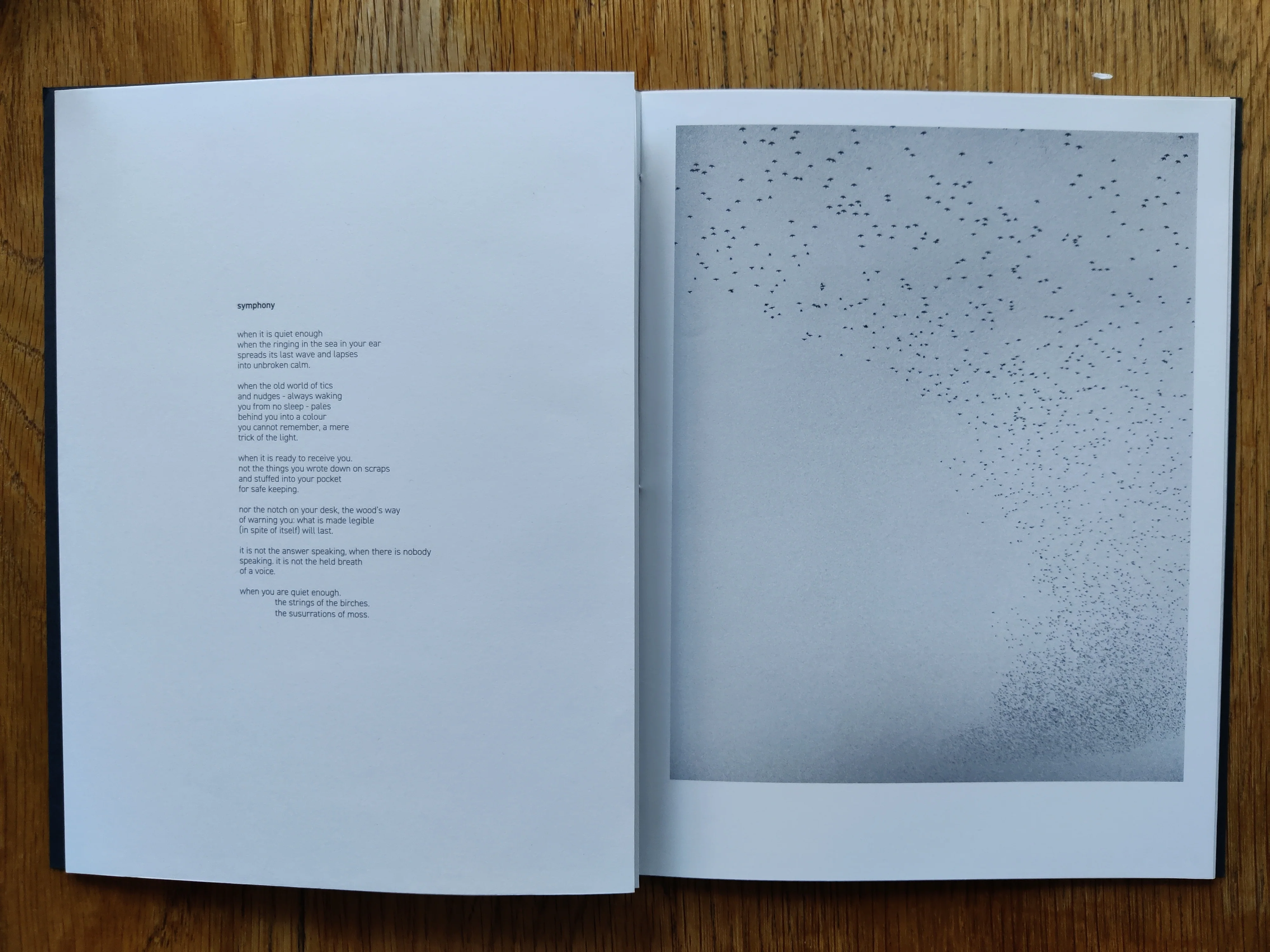 Murmurations - Special Edition - Image 5