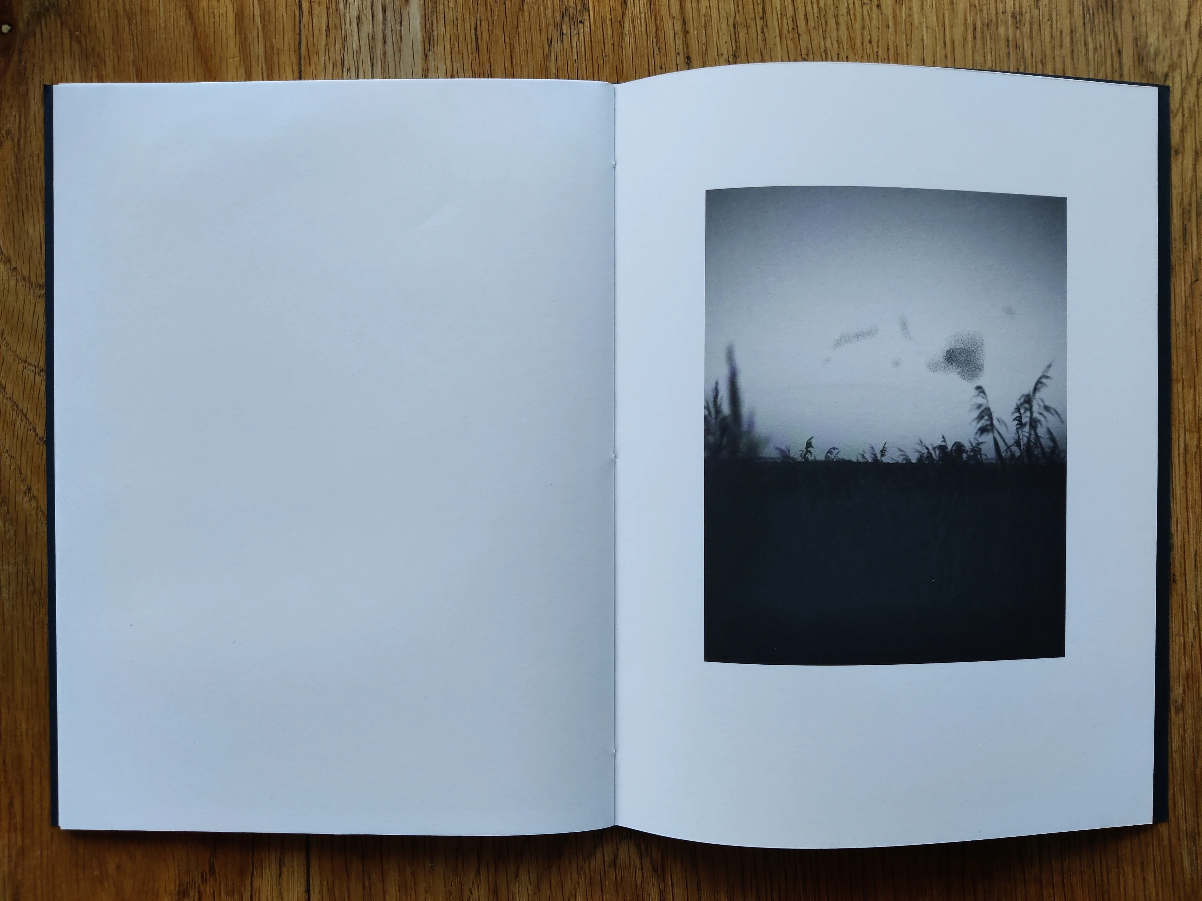 Murmurations - Special Edition - Image 6