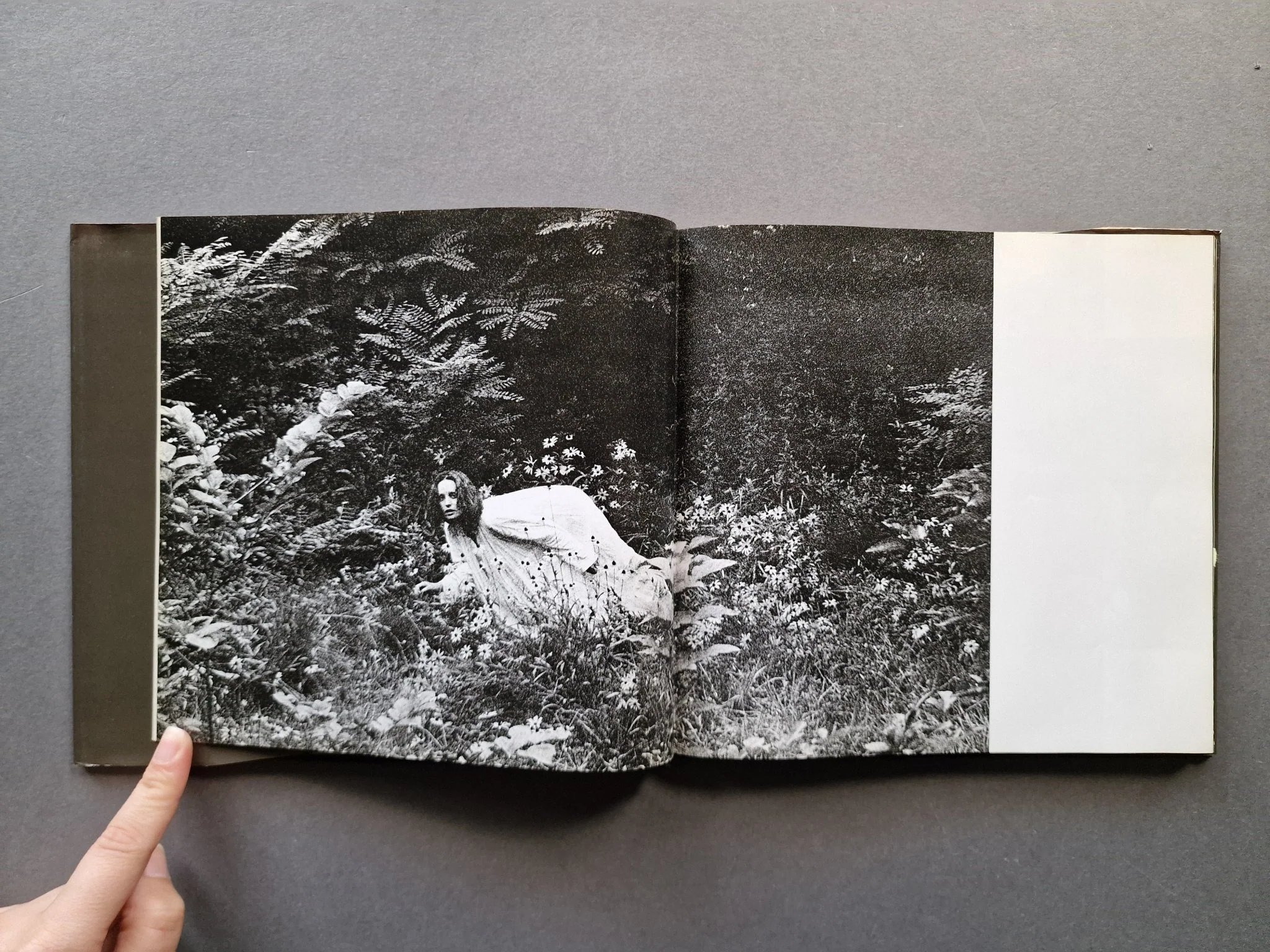 Nadia - Image 4