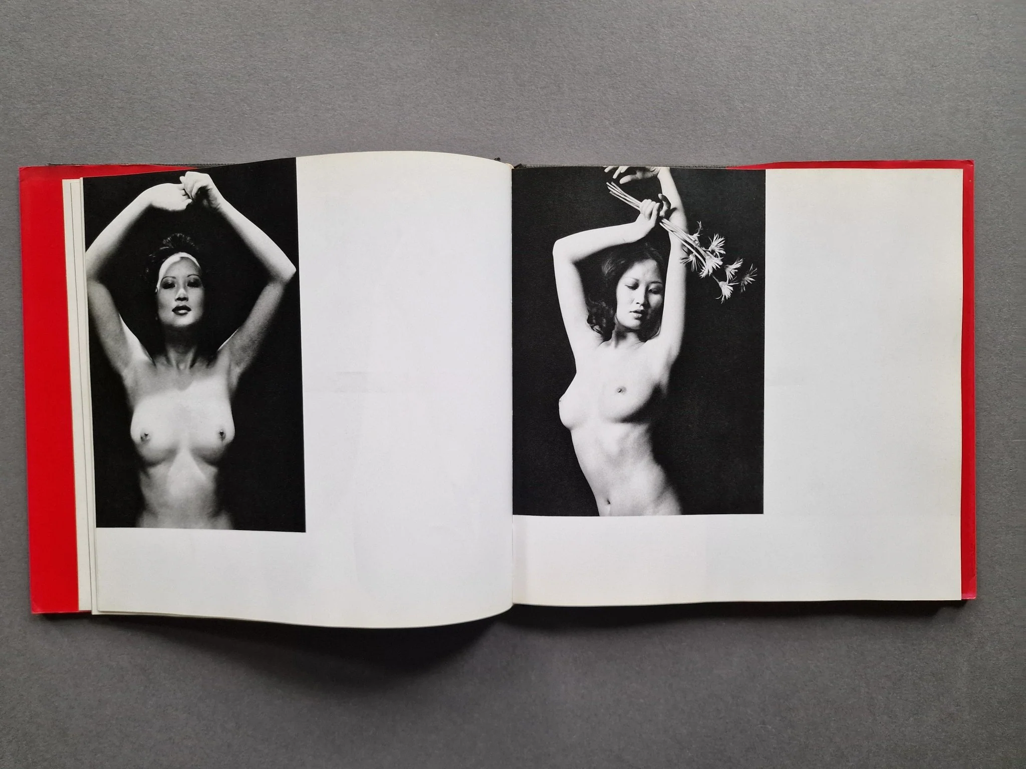Naked Portraits - Image 5
