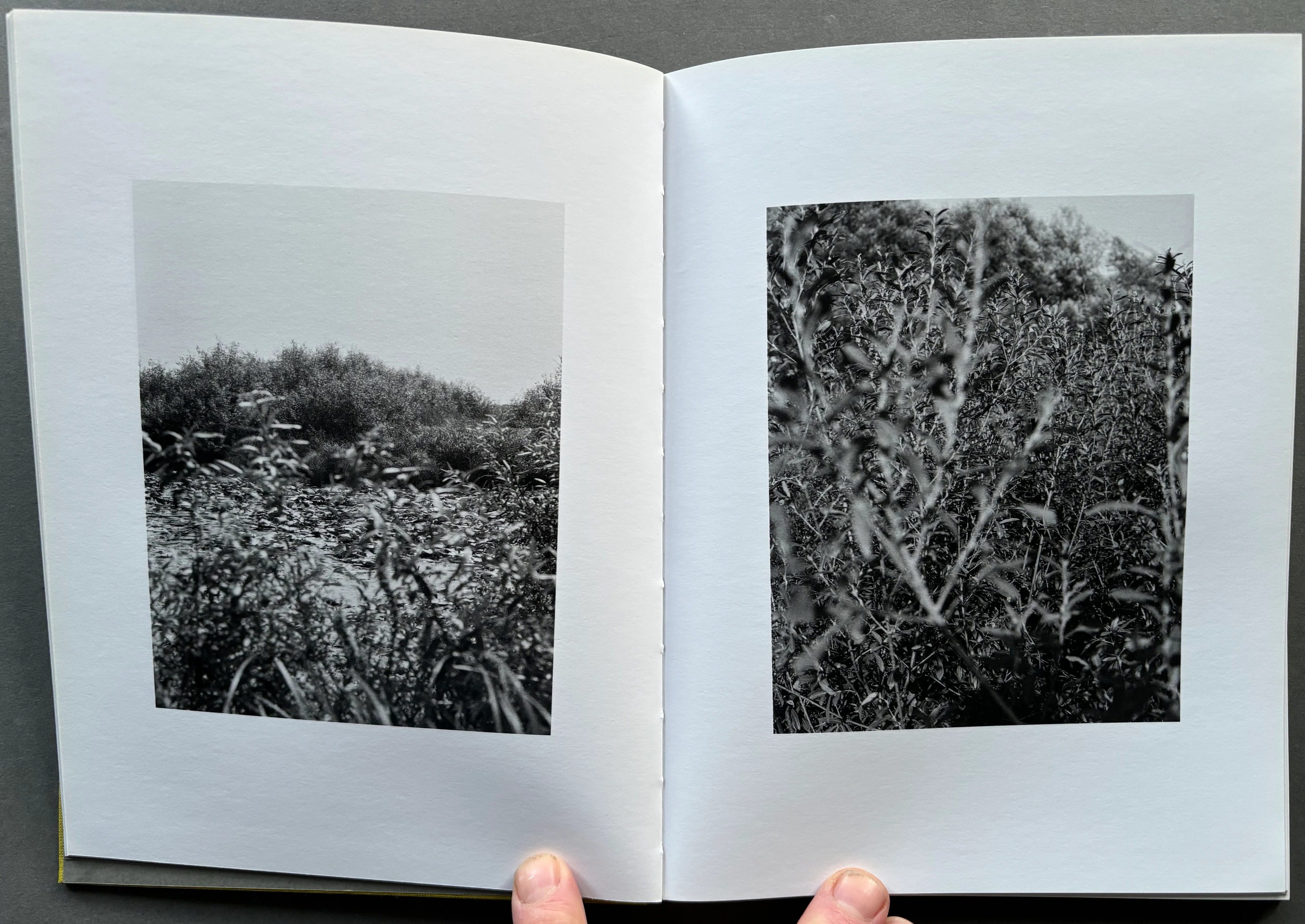 Natur - Image 4