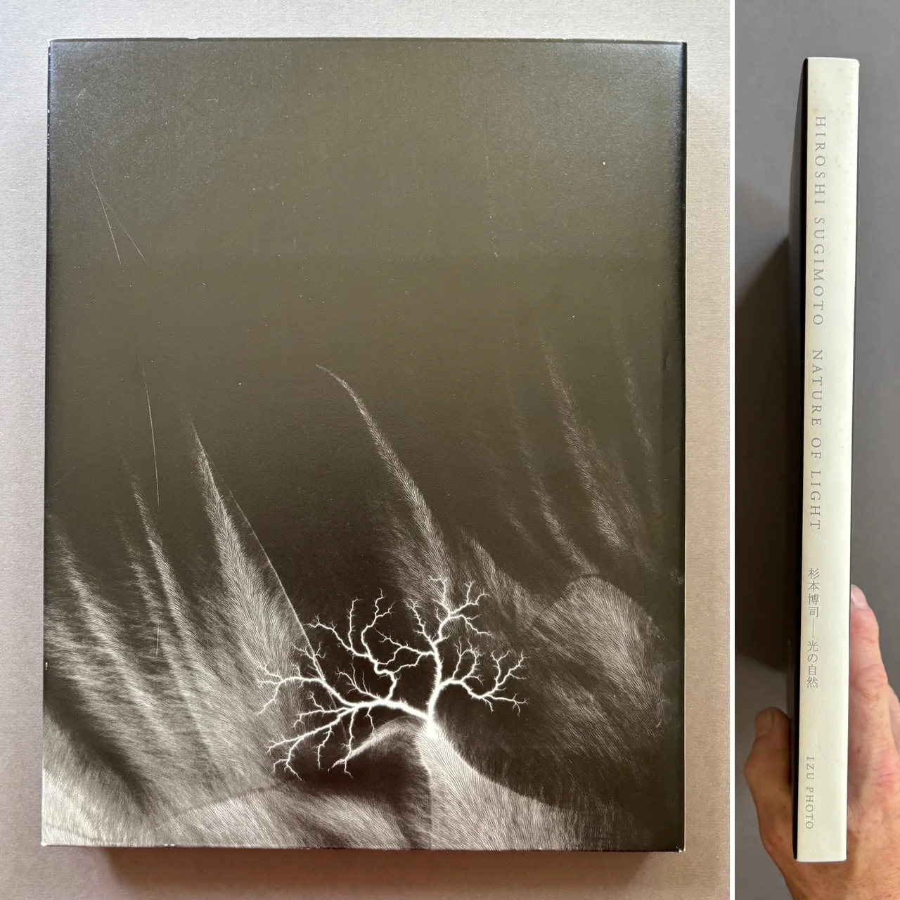 Nature Of Light - Image 8