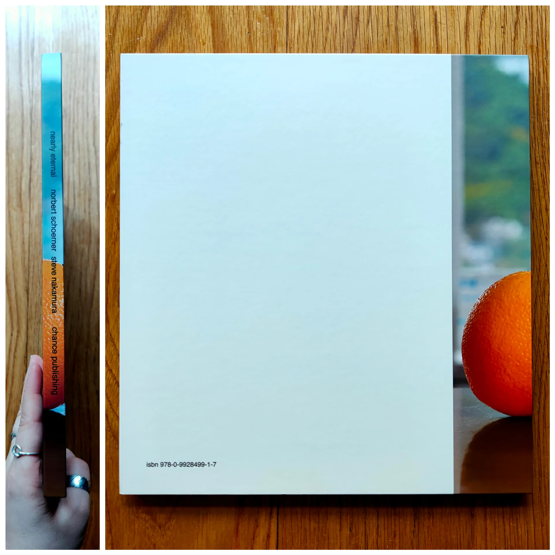 Nearly Eternal - Image 13