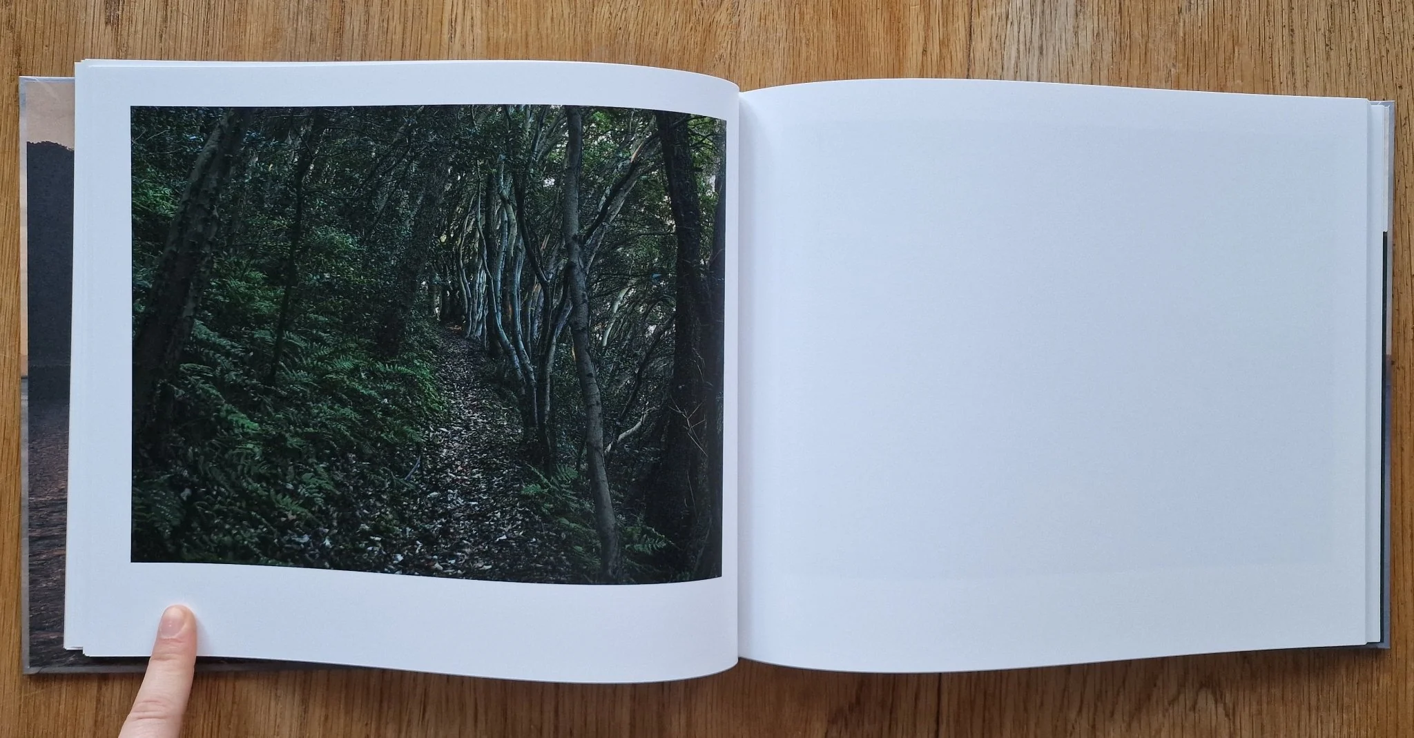 Nemurushima - Image 5