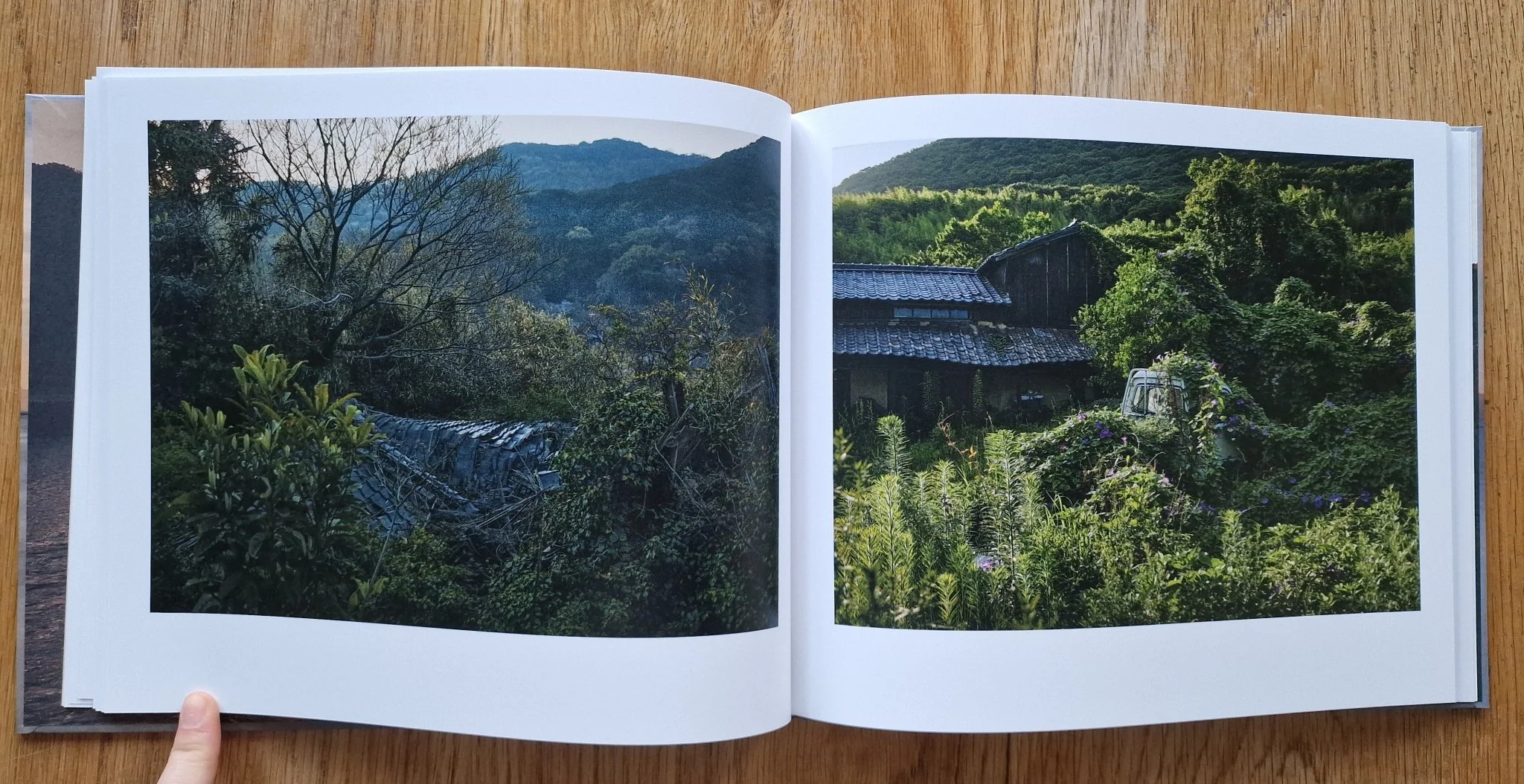 Nemurushima - Image 6