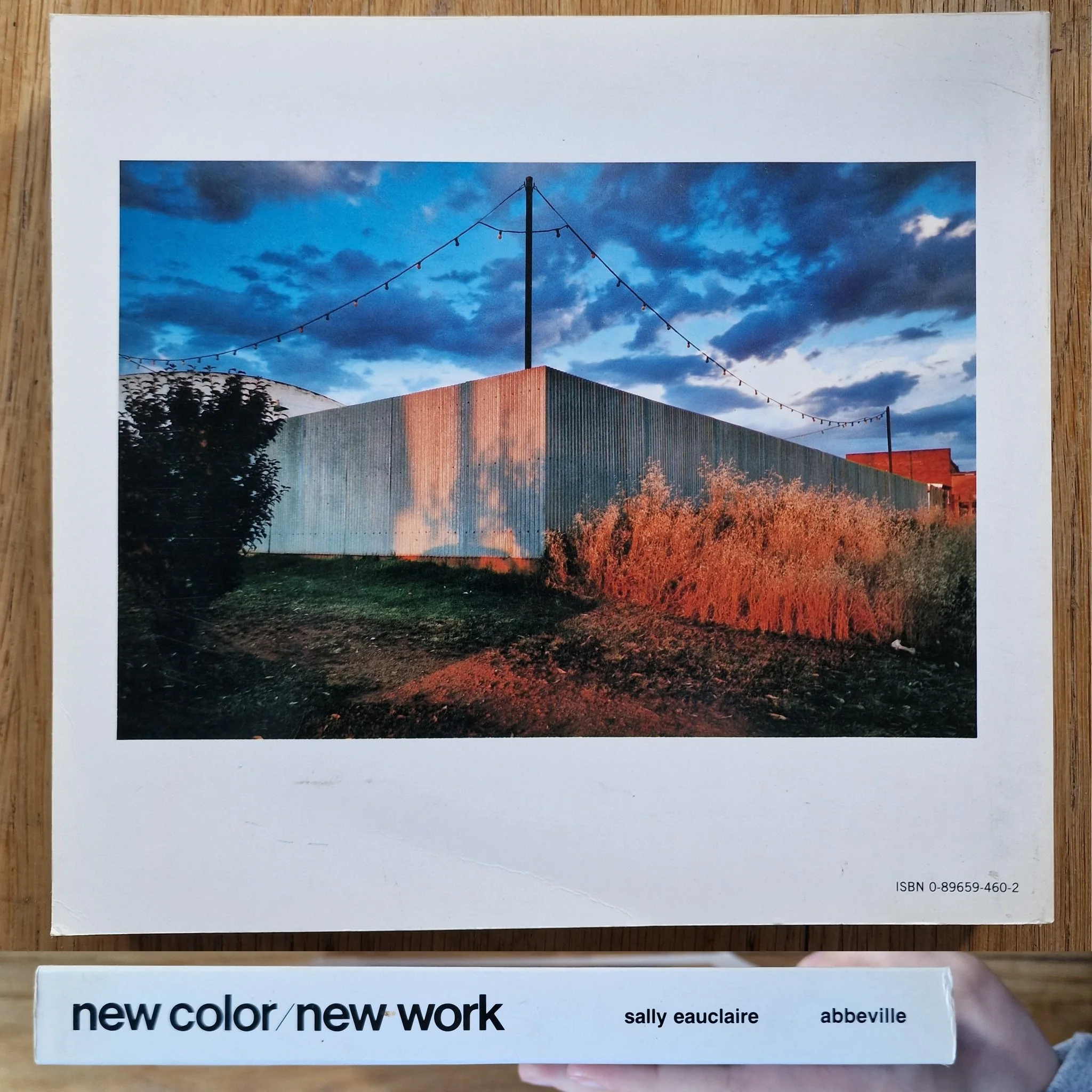 New Color/New Work: 18 Photographic Essays - Image 7