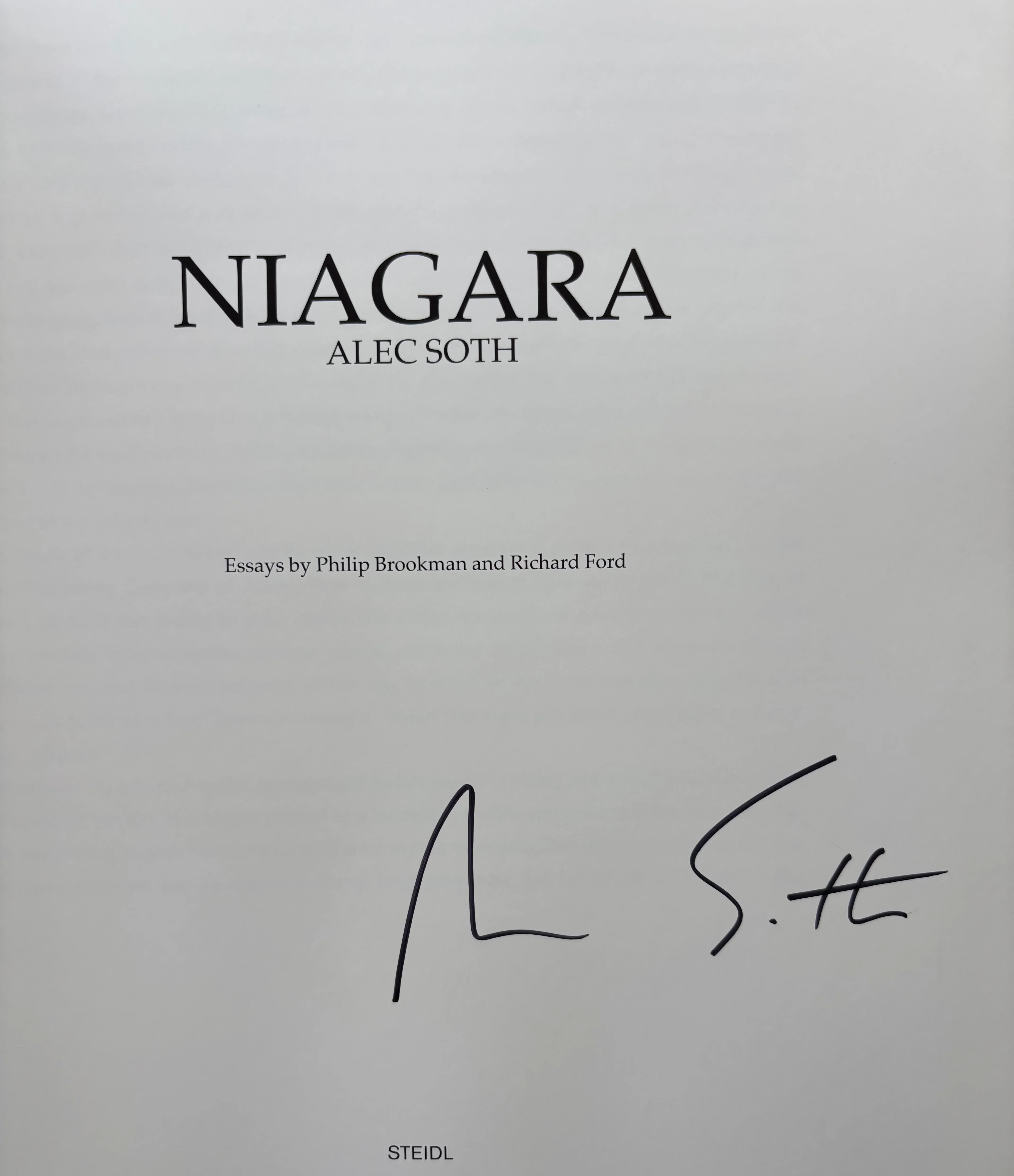 Niagara - Steidl 1st - Image 2