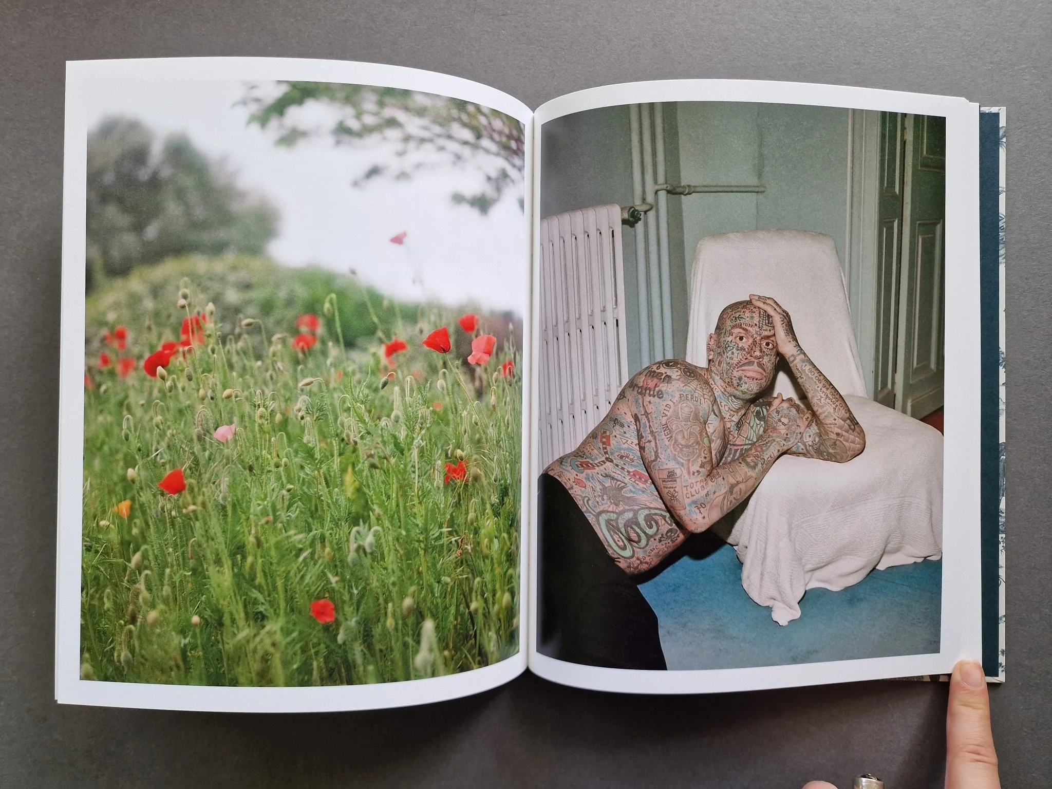 Non Fiction - Image 8