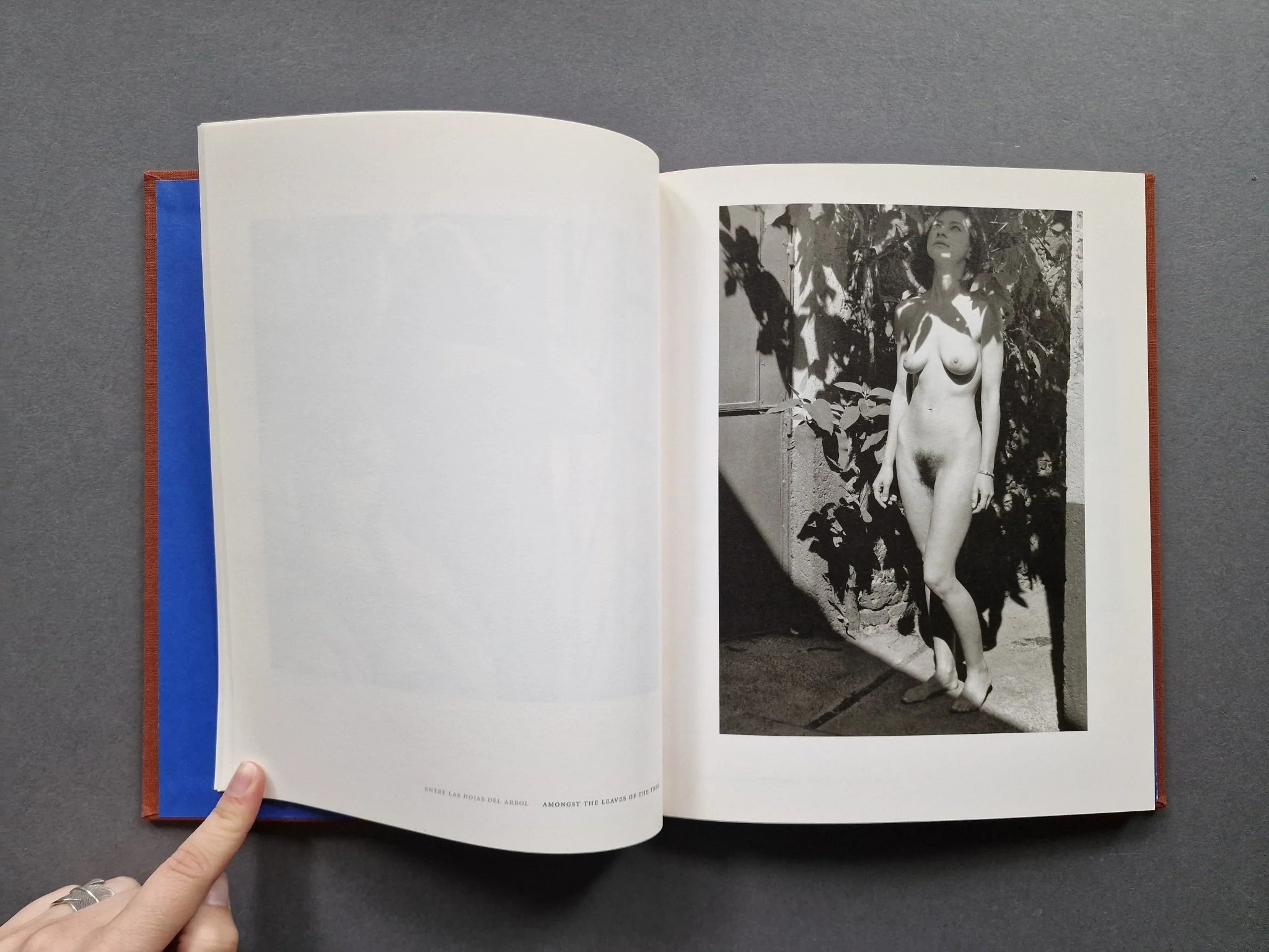 Nudes: The Blue House - Image 3