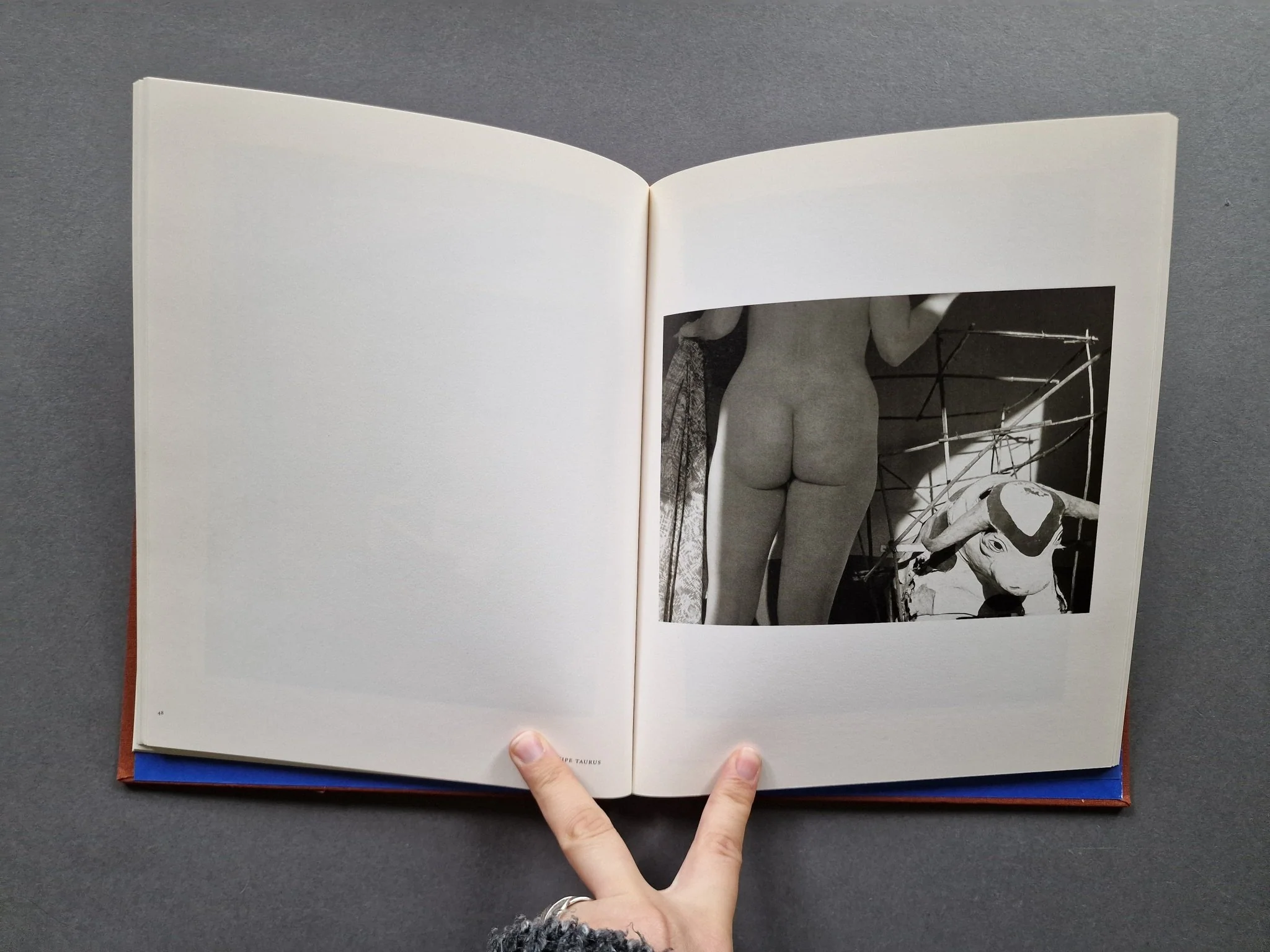 Nudes: The Blue House - Image 4