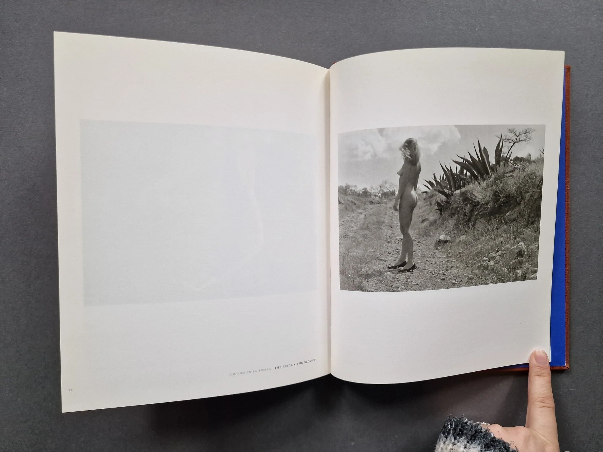 Nudes: The Blue House - Image 5