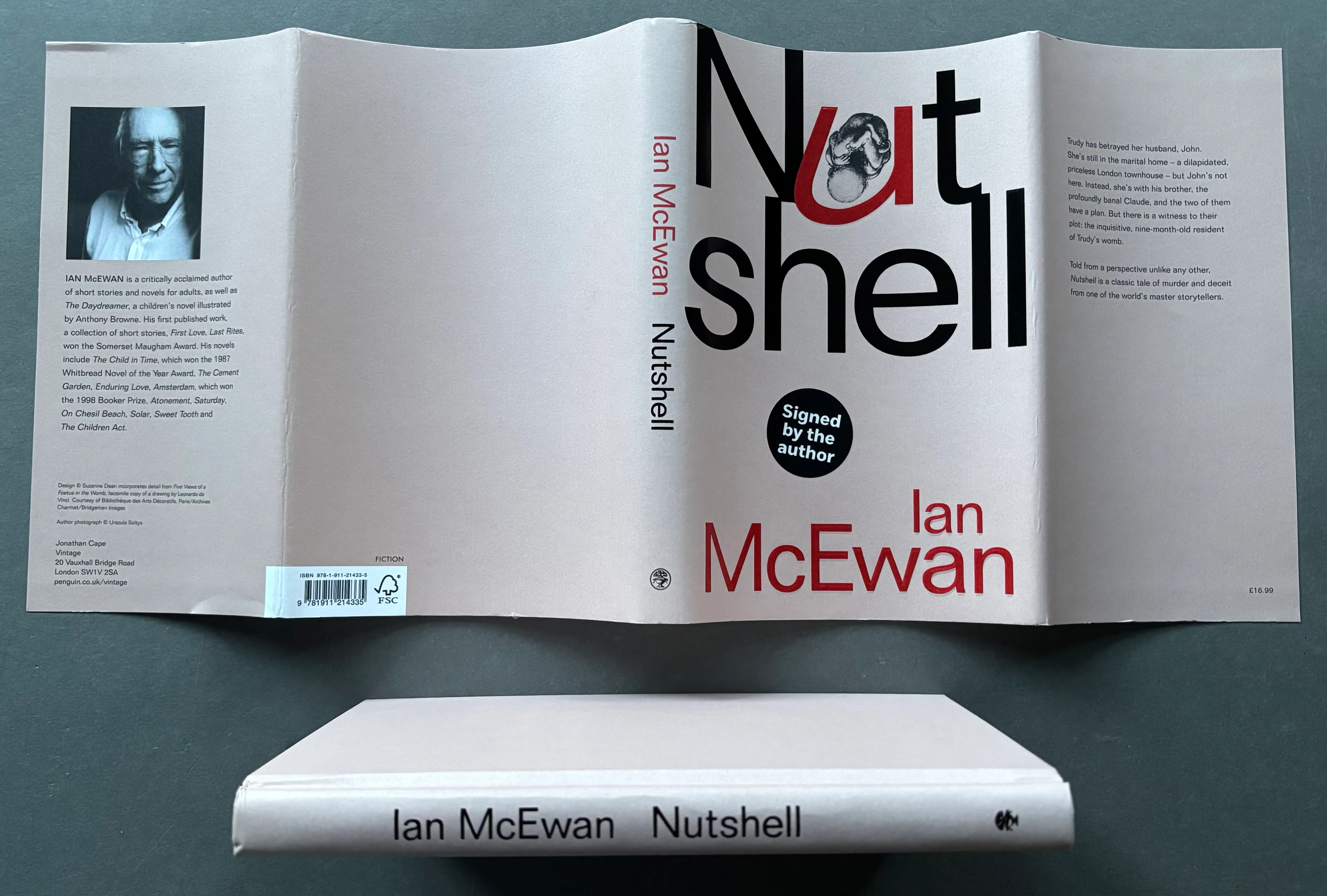 Nutshell - Image 4
