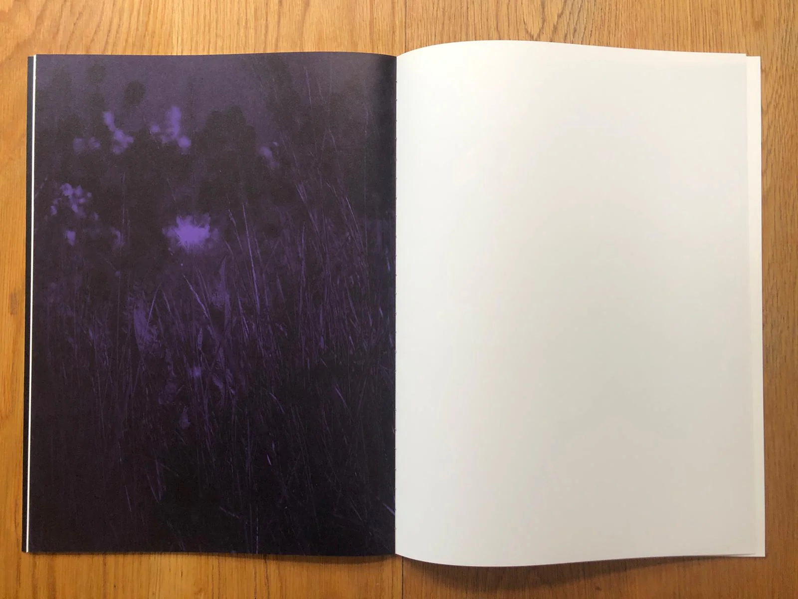 O - Image 5