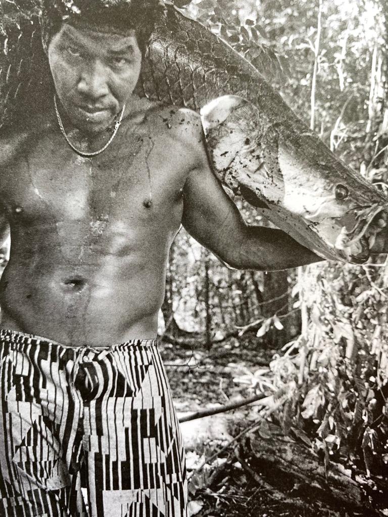 O Inferno Verde (Zine Collection 26) - Image 7