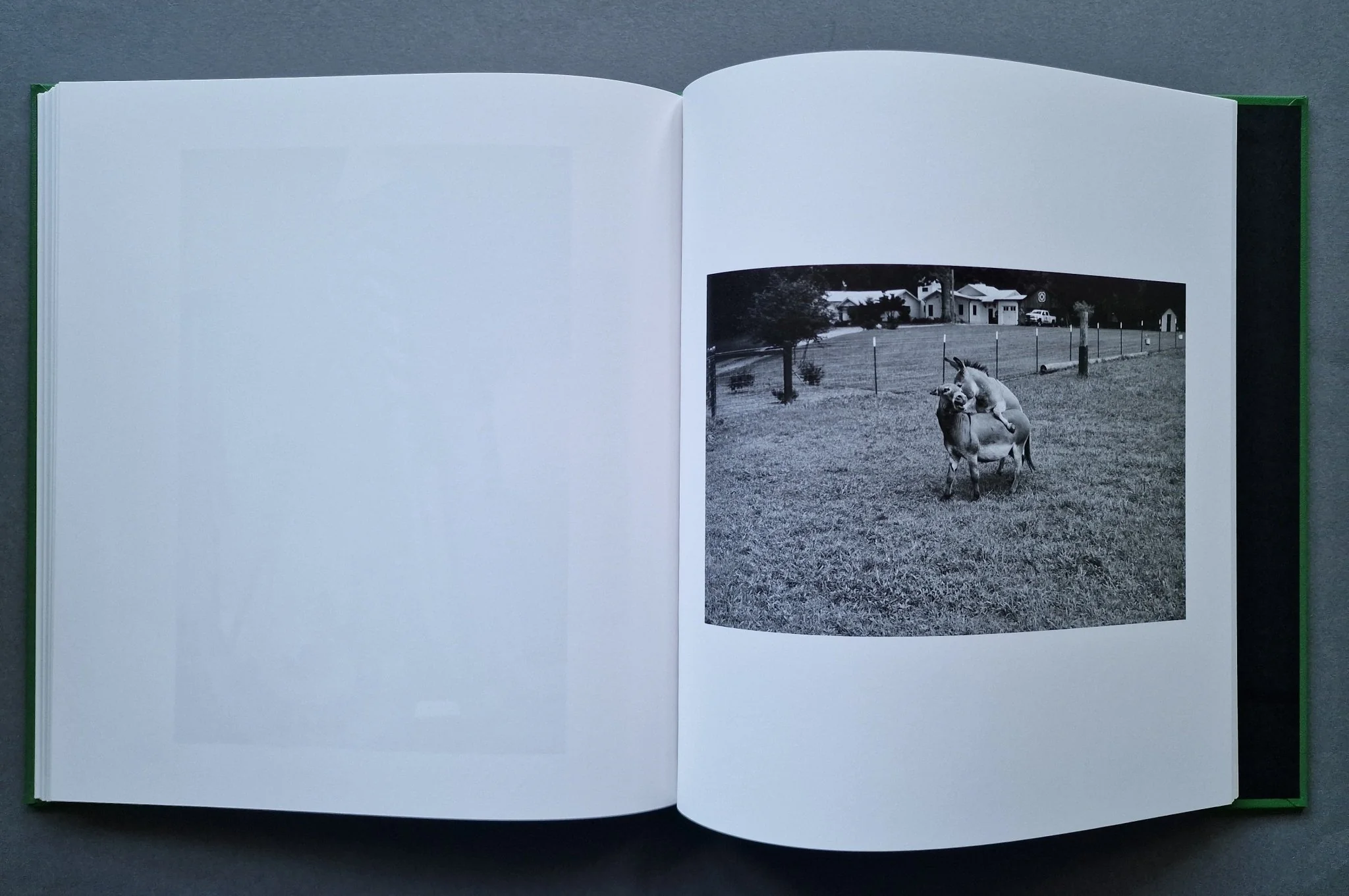 Off Days - Image 6
